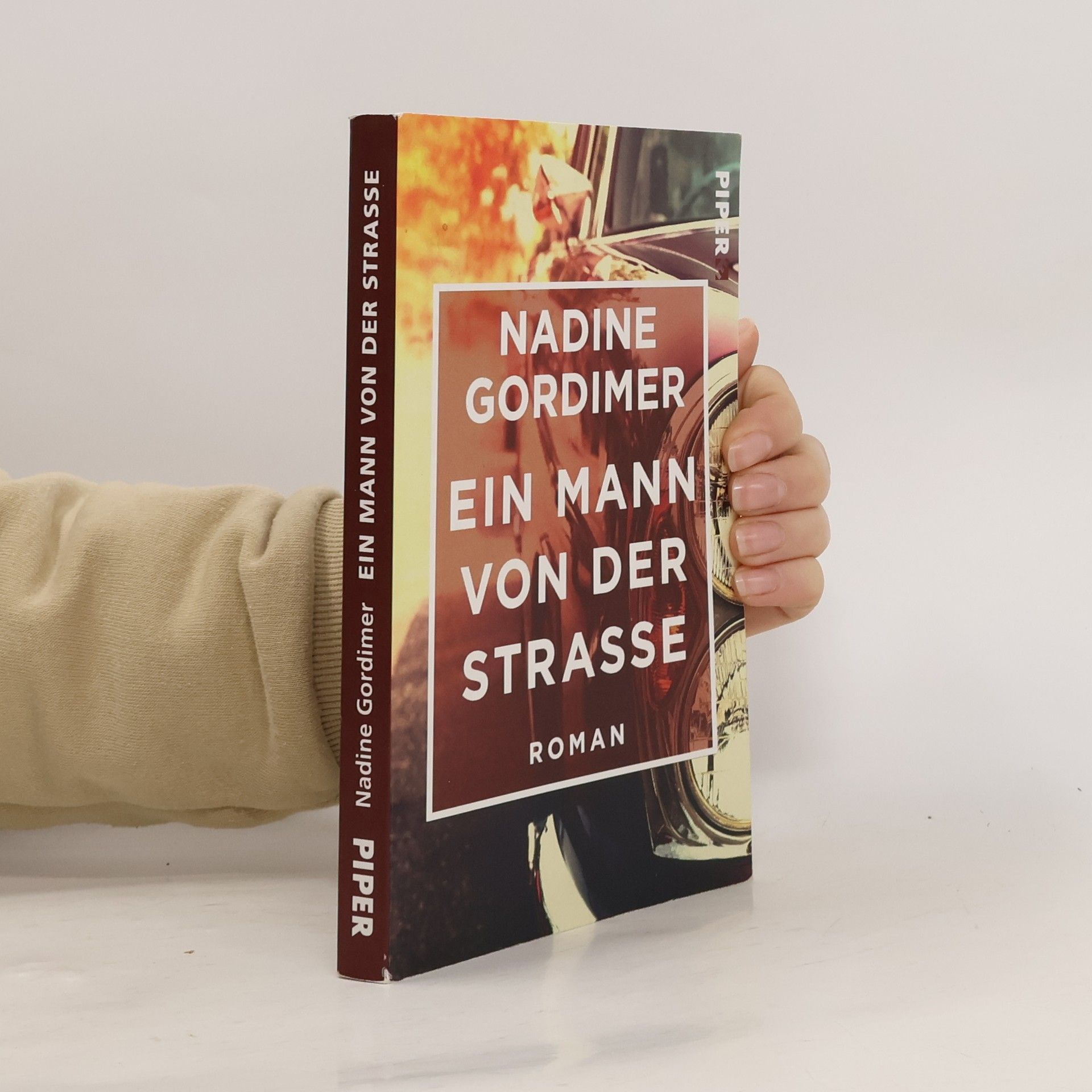 Nadine Gordimer Ein Mann von der Straße