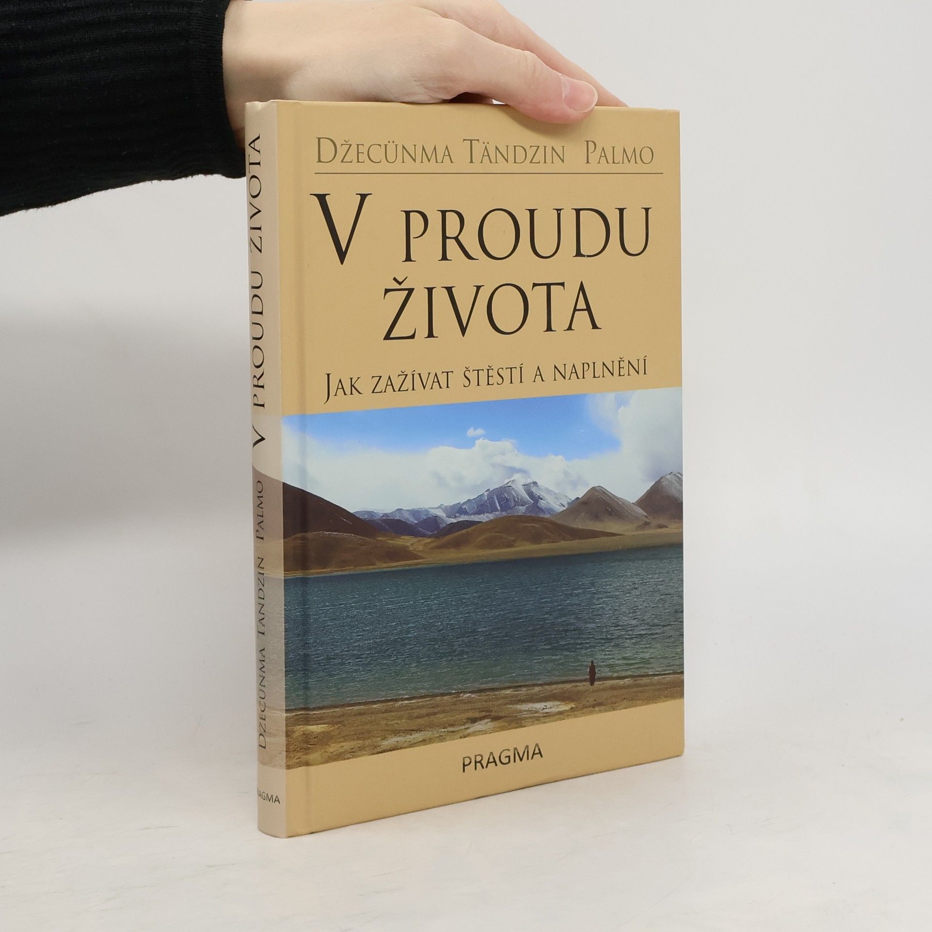 Palmo Tenzin V proudu života. Jak zažívat štěstí a naplnění