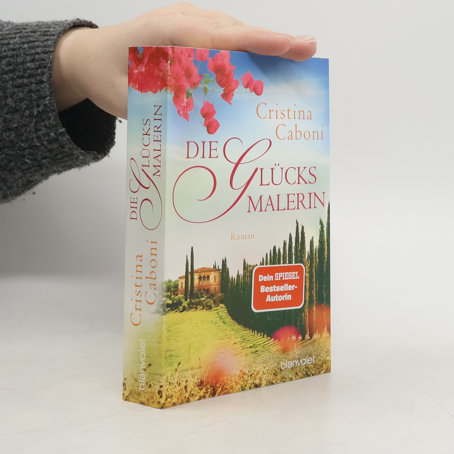 Cristina Caboni Die Glücksmalerin