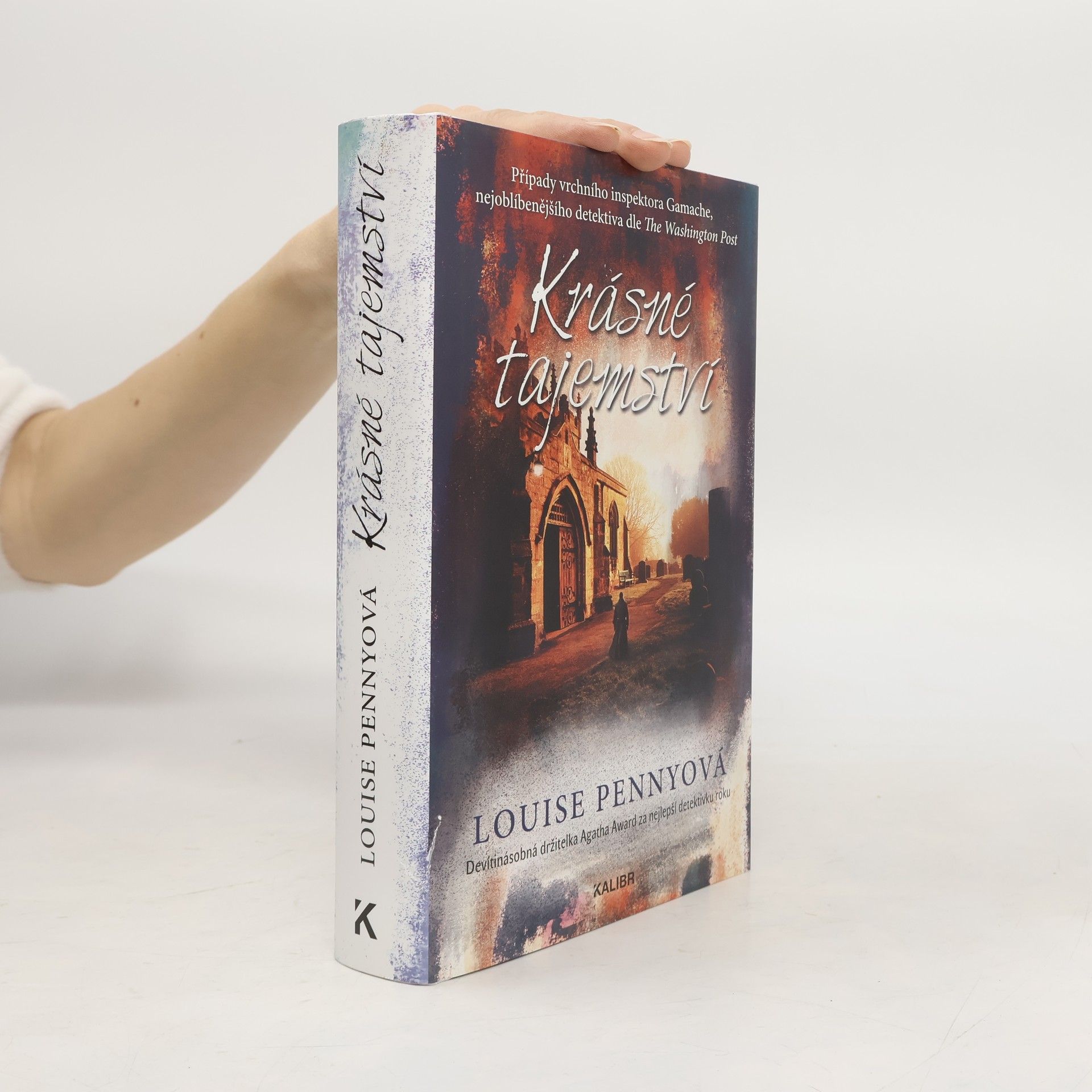 Krásné tajemství : případy vrchního inspektora Gamache