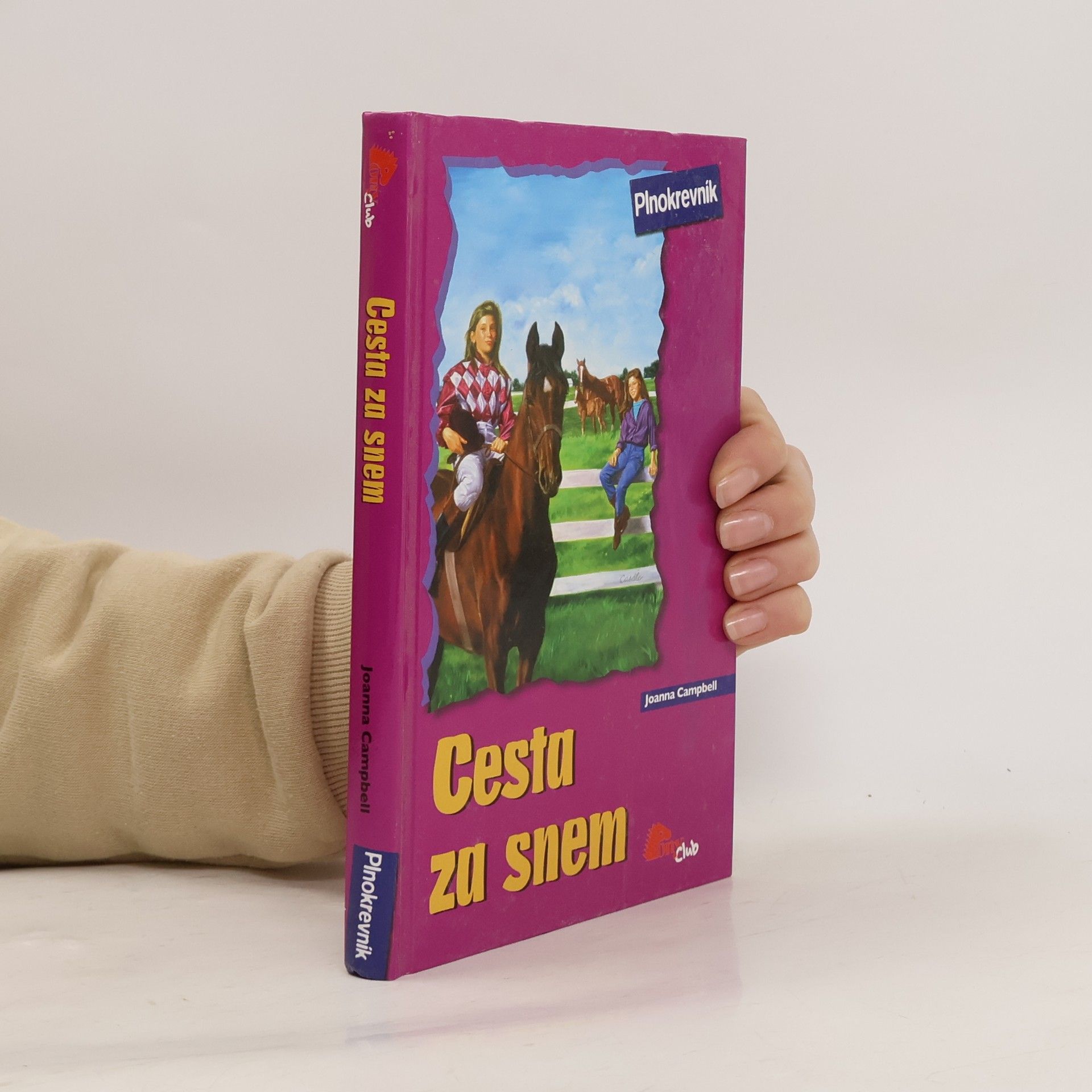 Jo Ann Simon Cesta za snem