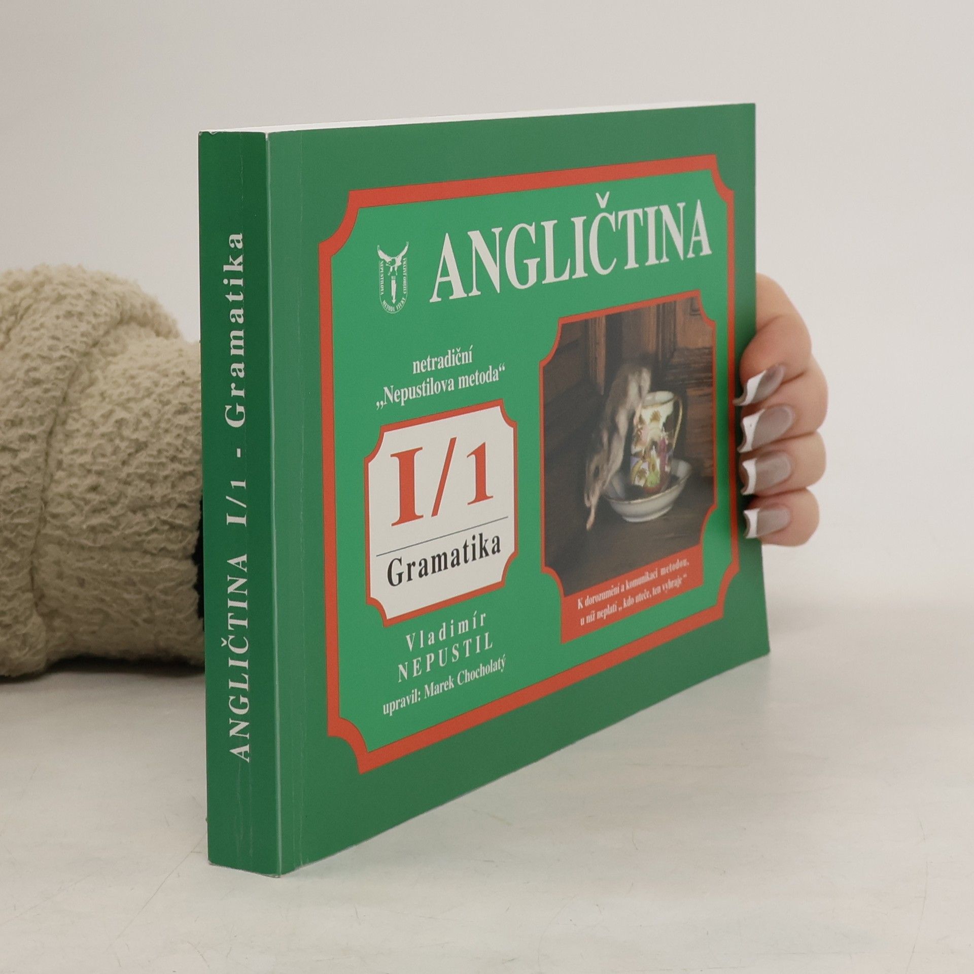 Vladimír Nepustil Angličtina I/1. Gramatika