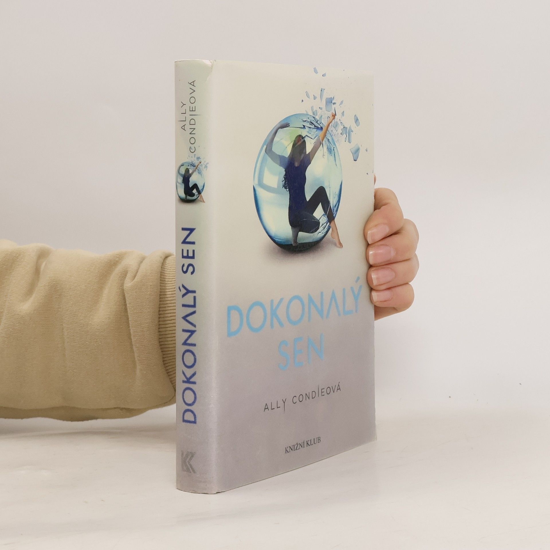 Allyson Braithwaite Condie Dokonalý sen