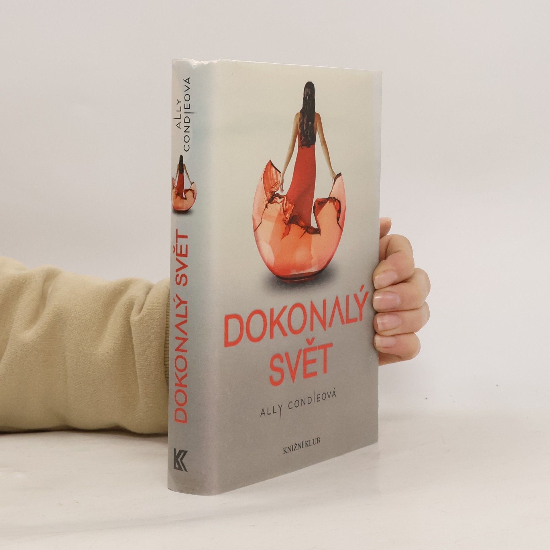 Allyson Braithwaite Condie Dokonalý svět