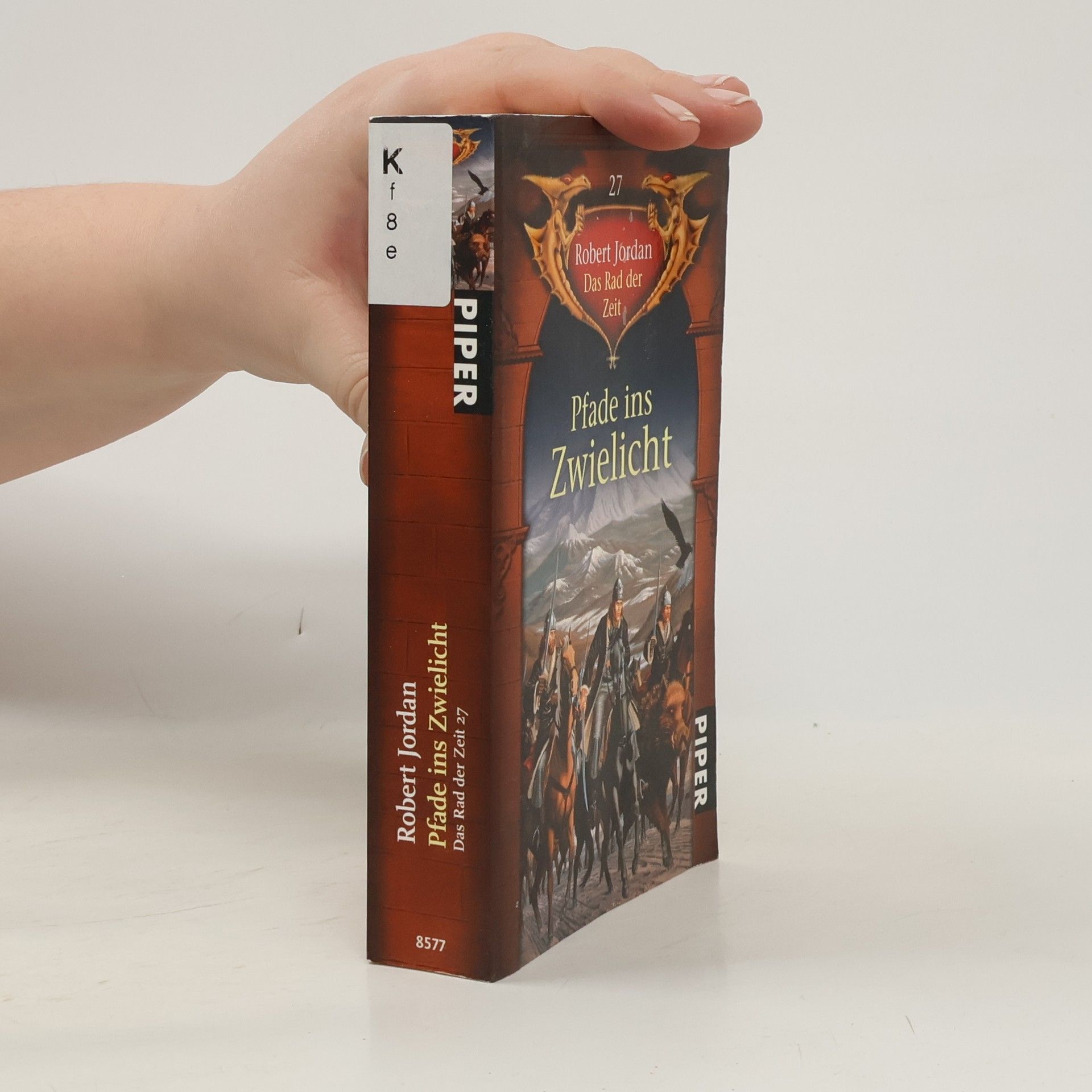 Das Rad der Zeit 27. Pfade ins Zwielicht