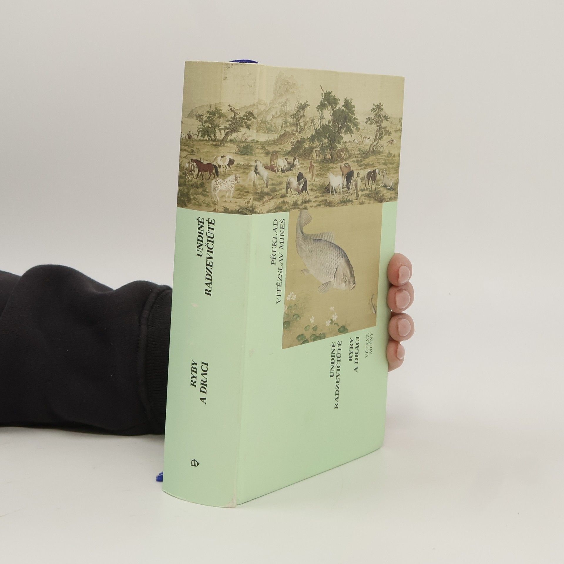 Undinė Radzevičiūtė Ryby a draci