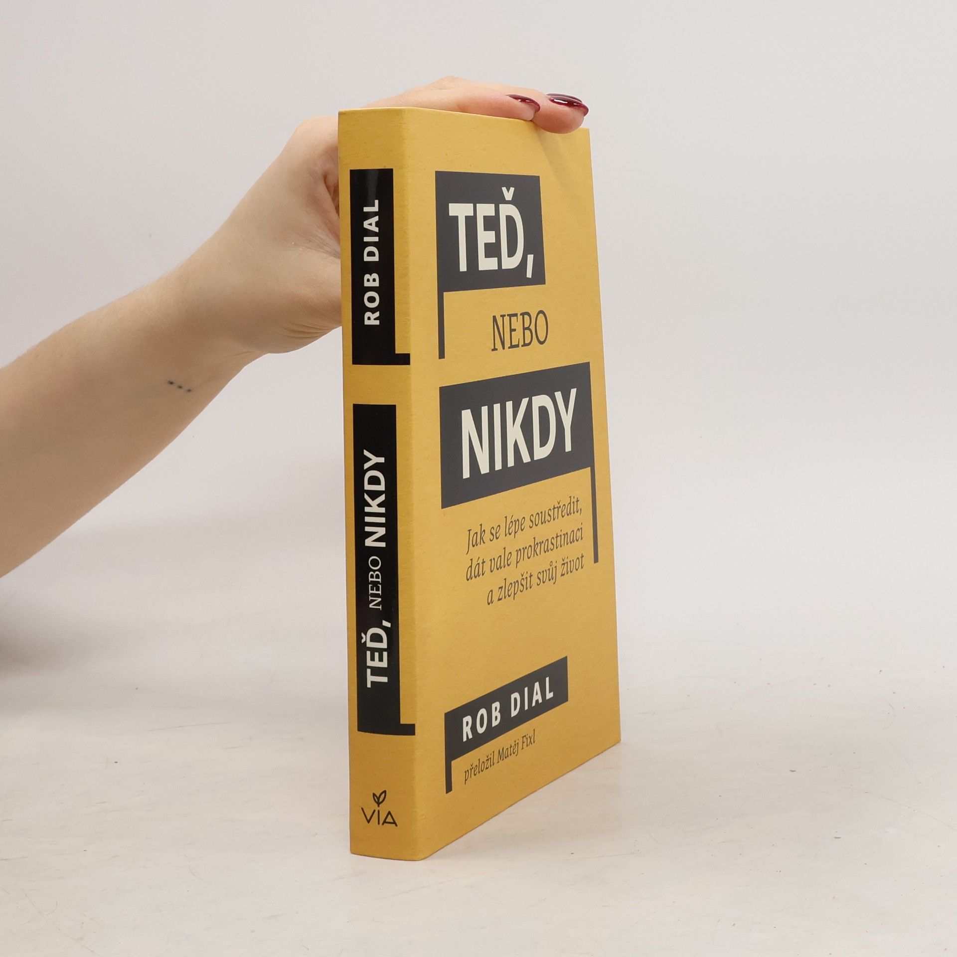 Rob Dial Teď nebo nikdy : jak se lépe soustředit, dát vale prokrastinaci a zlepšit svůj život