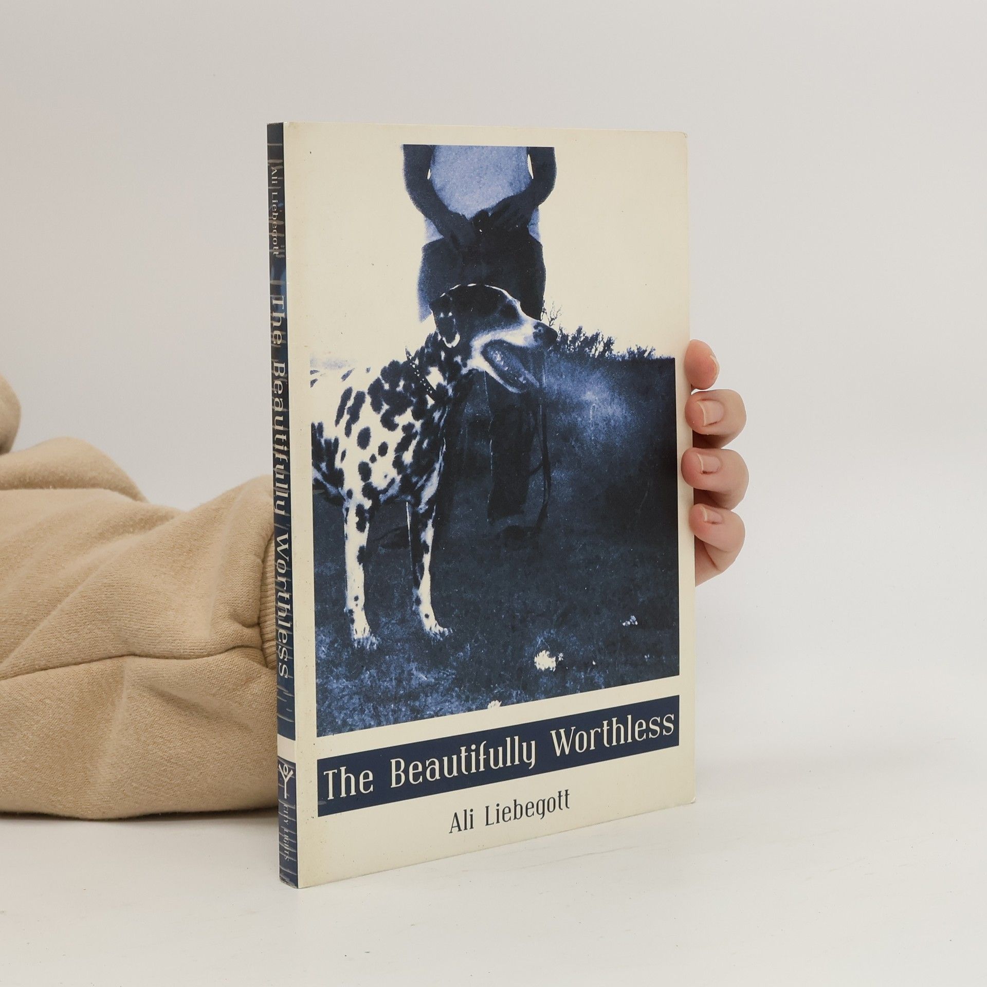 Ali Liebegott The Beautifully Worthless