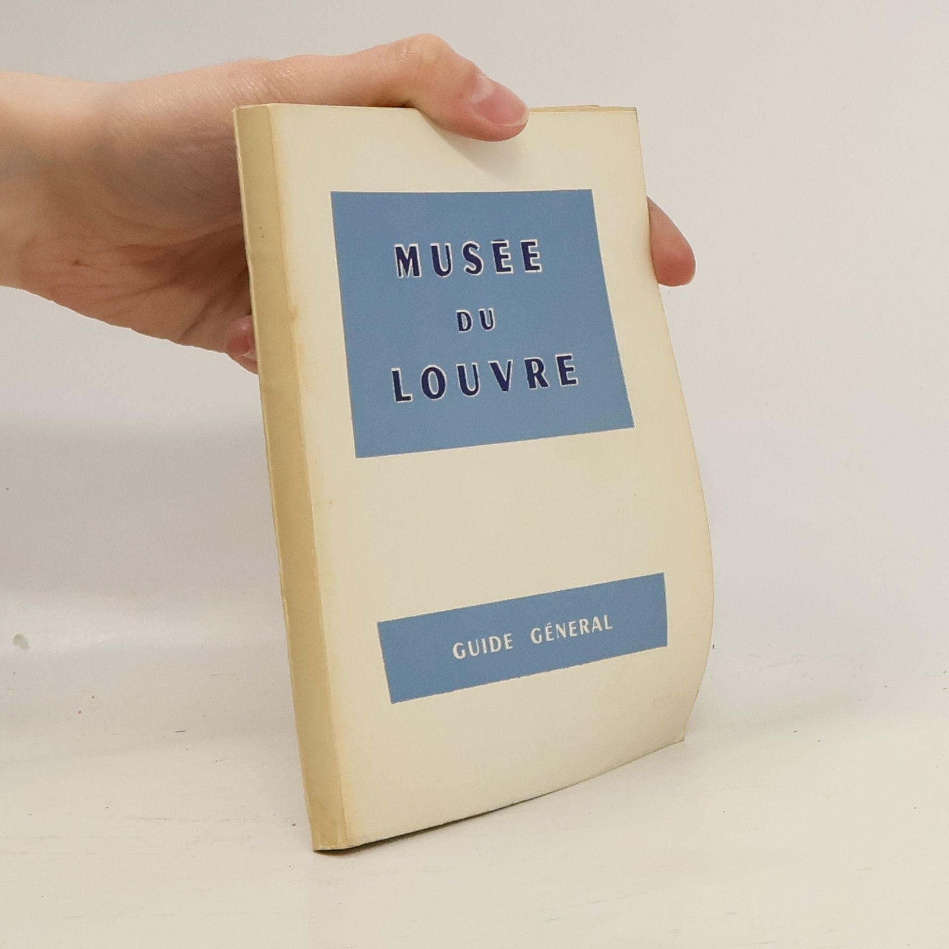 Kolektiv autorů Musée du Louvre