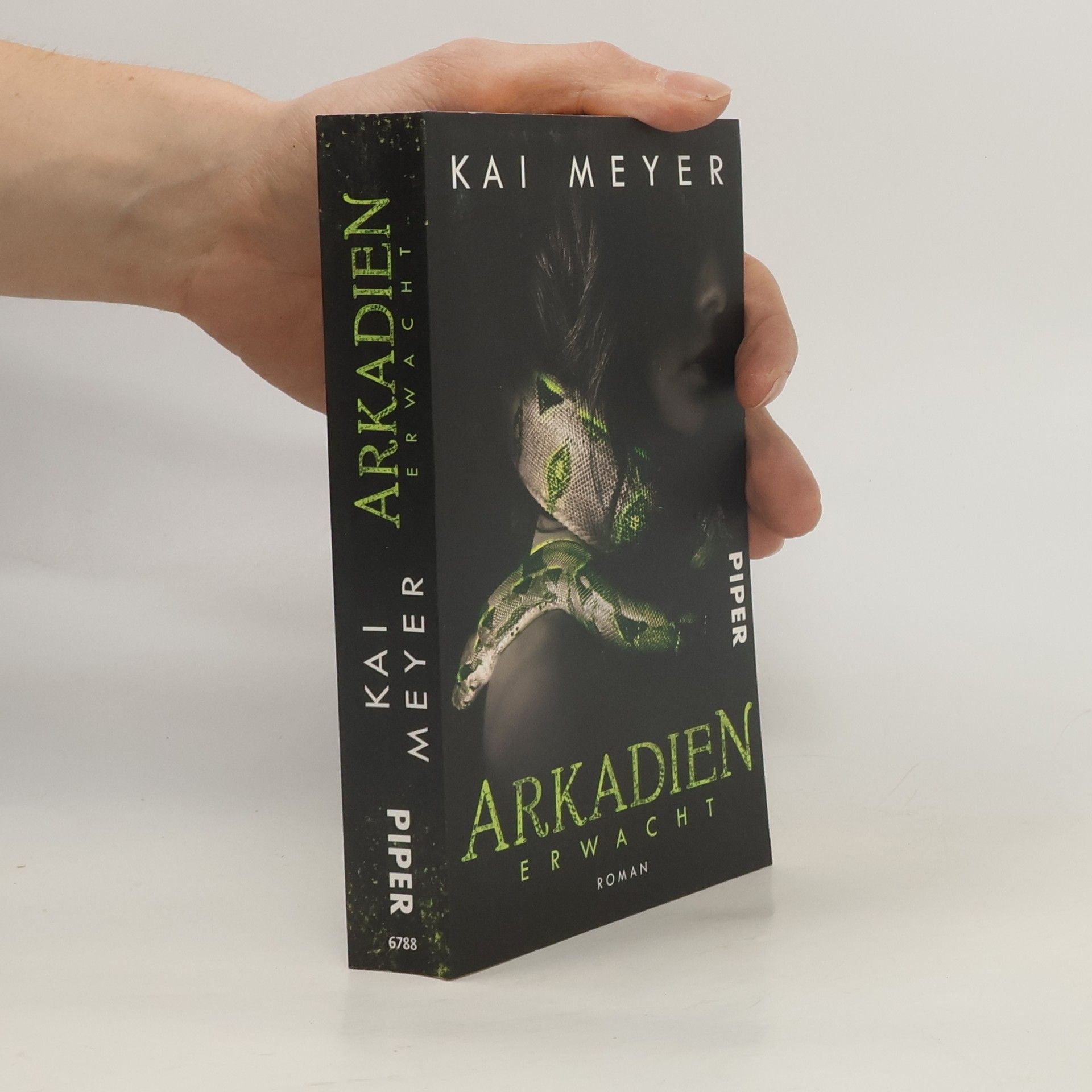 Kai Meyer Arkadien erwacht