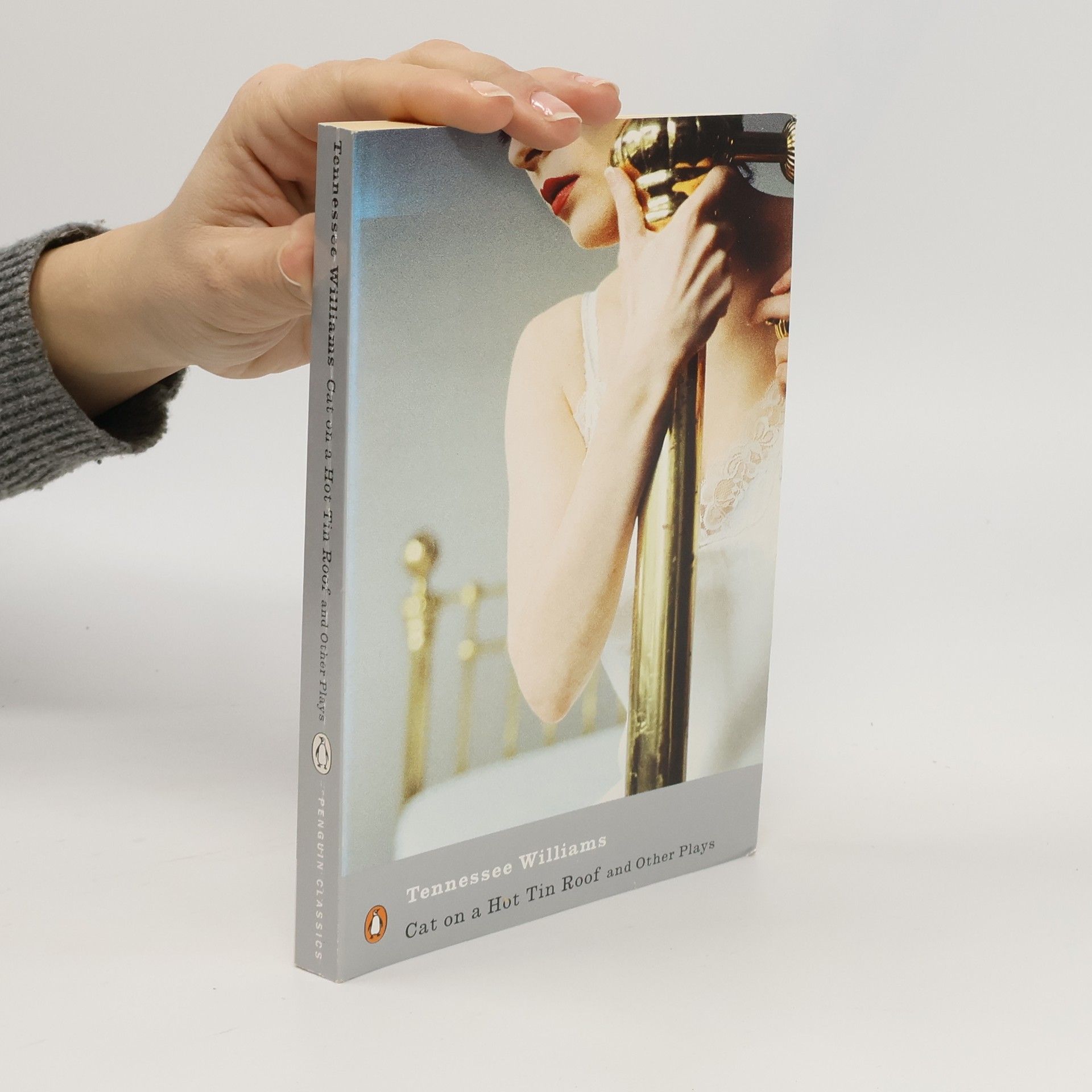 Tennessee Williams Cat on a Hot Tin Roof And Other Plays