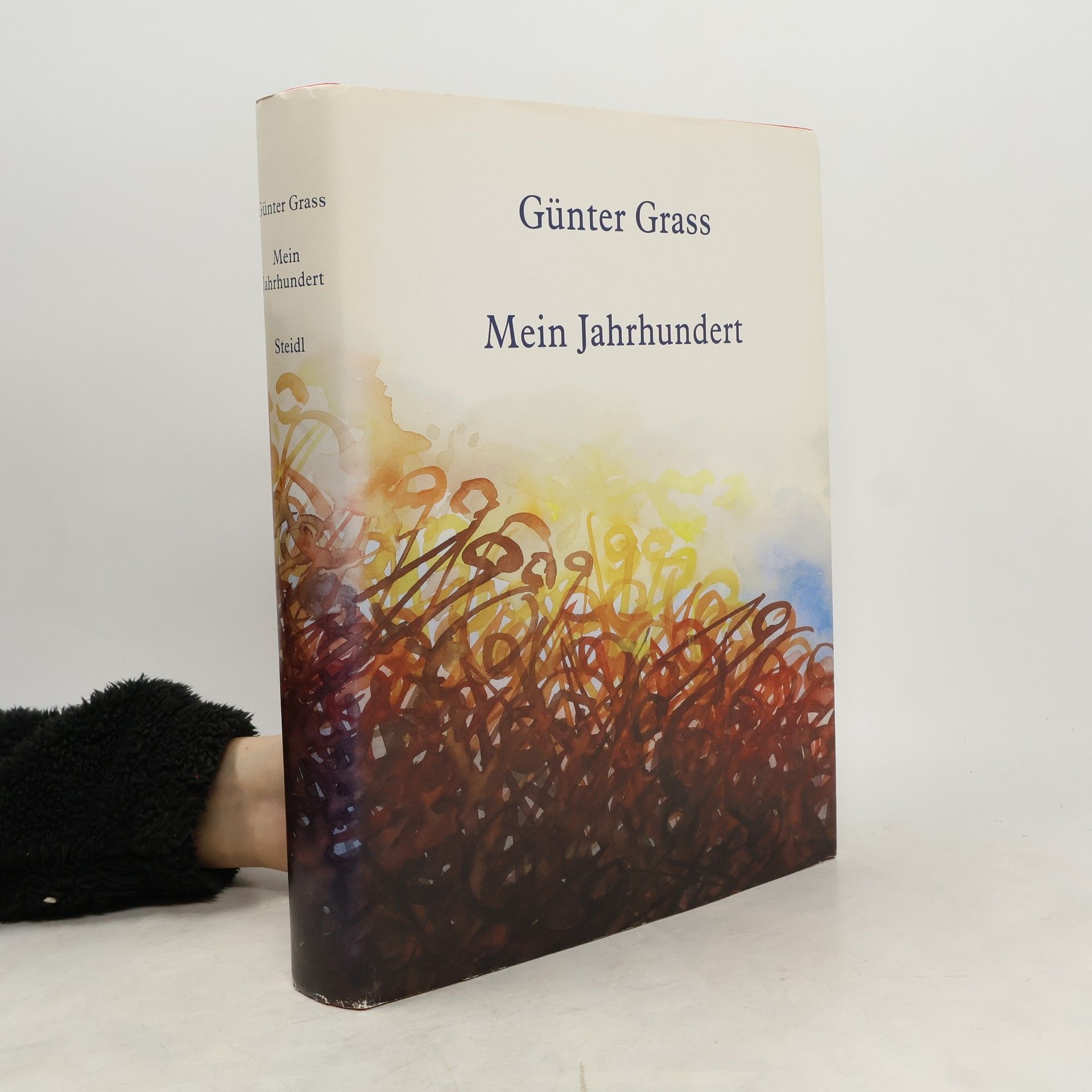 Günter Grass Mein Jahrhundert