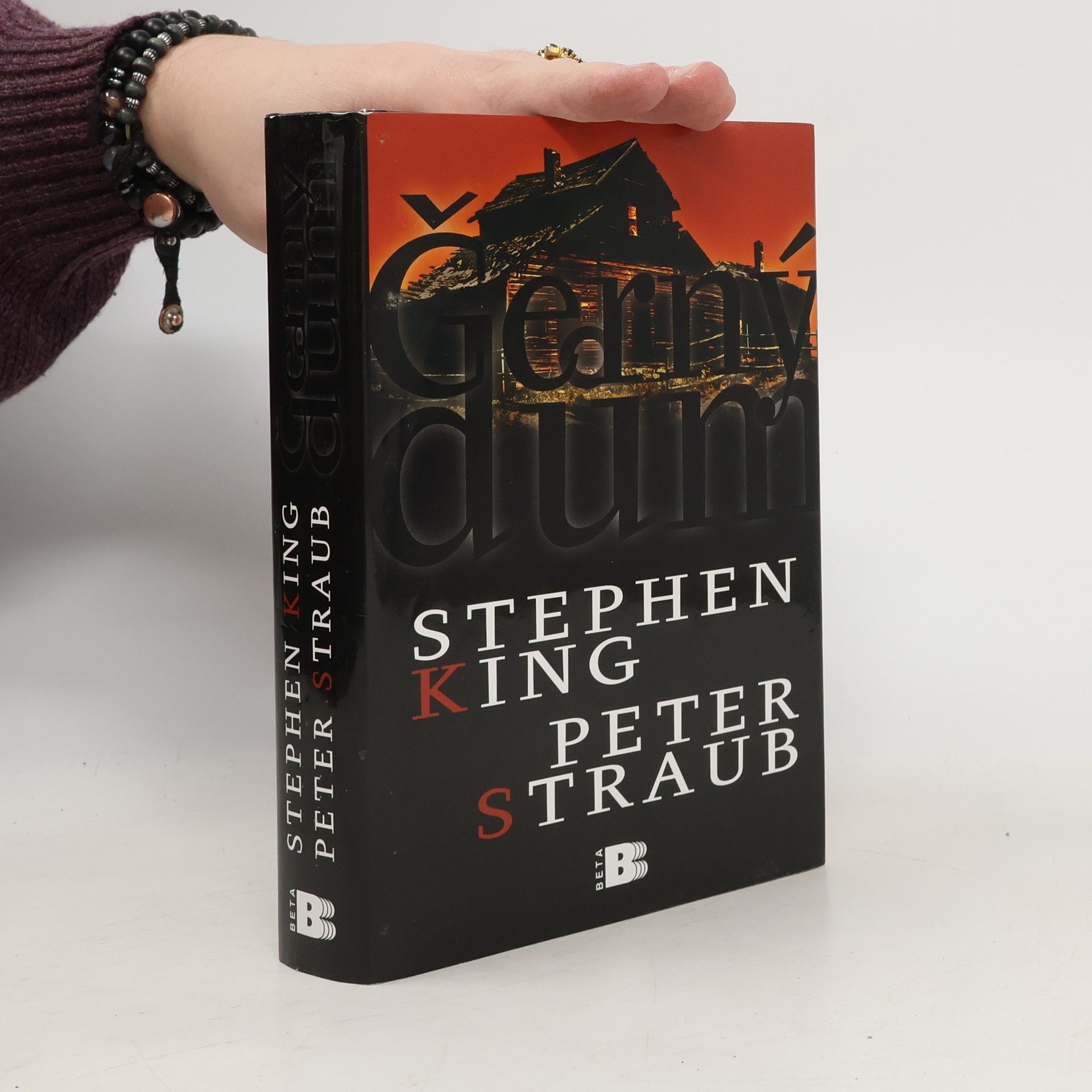 Stephen King Černý dům