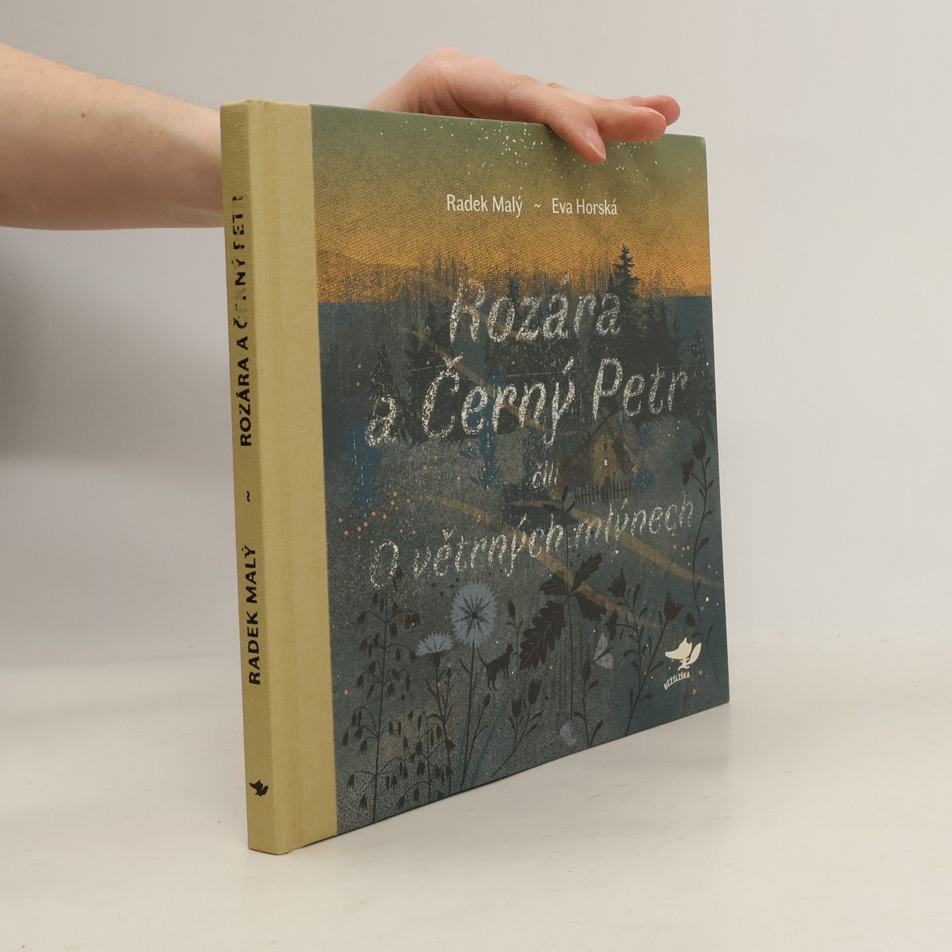 Radek Malý Rozára a Černý Petr čili O větrných mlýnech