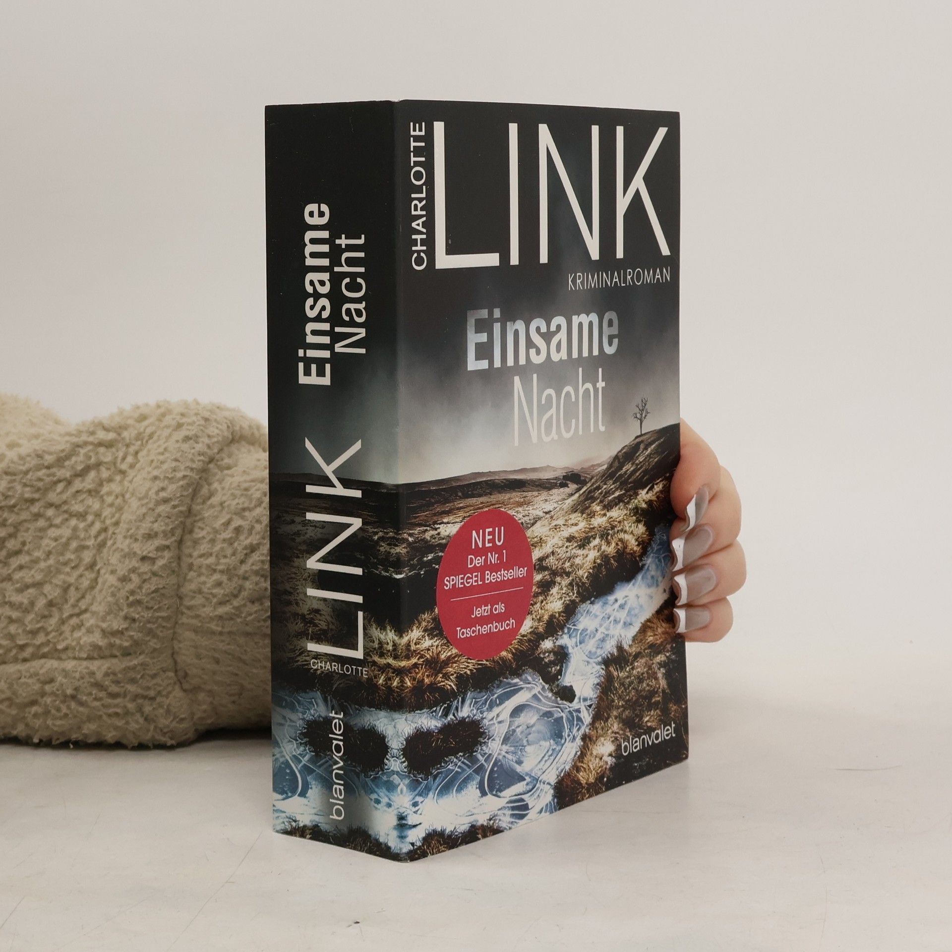 Charlotte Link Einsame Nacht