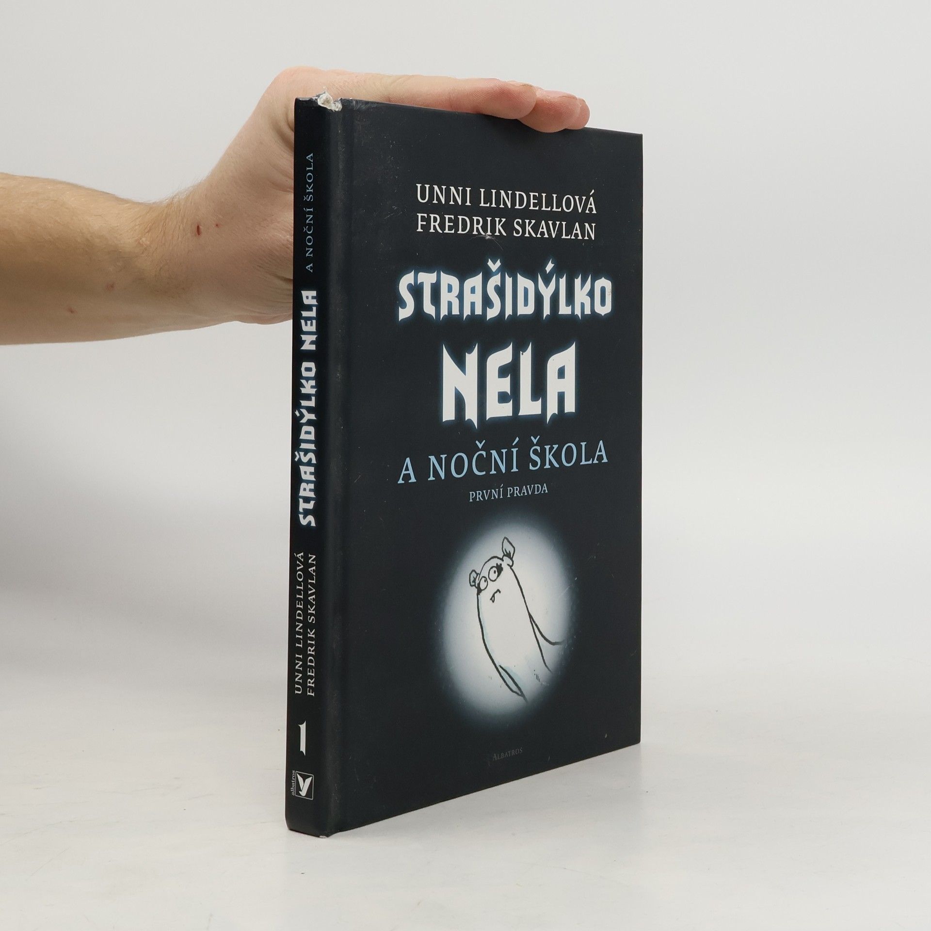 Strašidýlko Nela a Noční škola