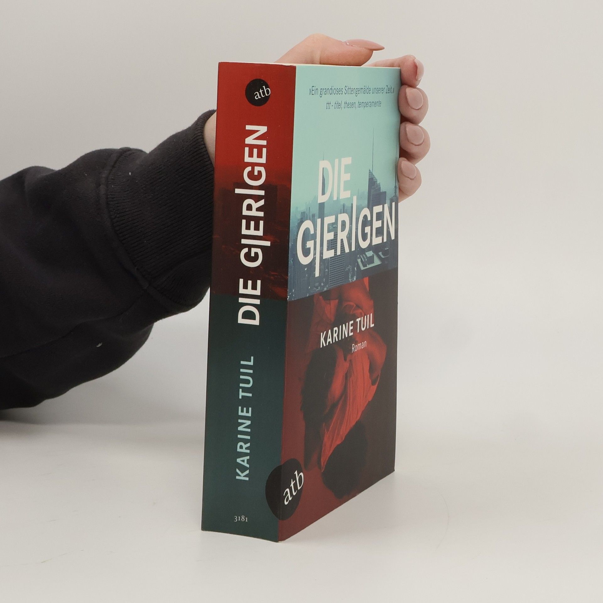 Karine Tuil Die Gierigen