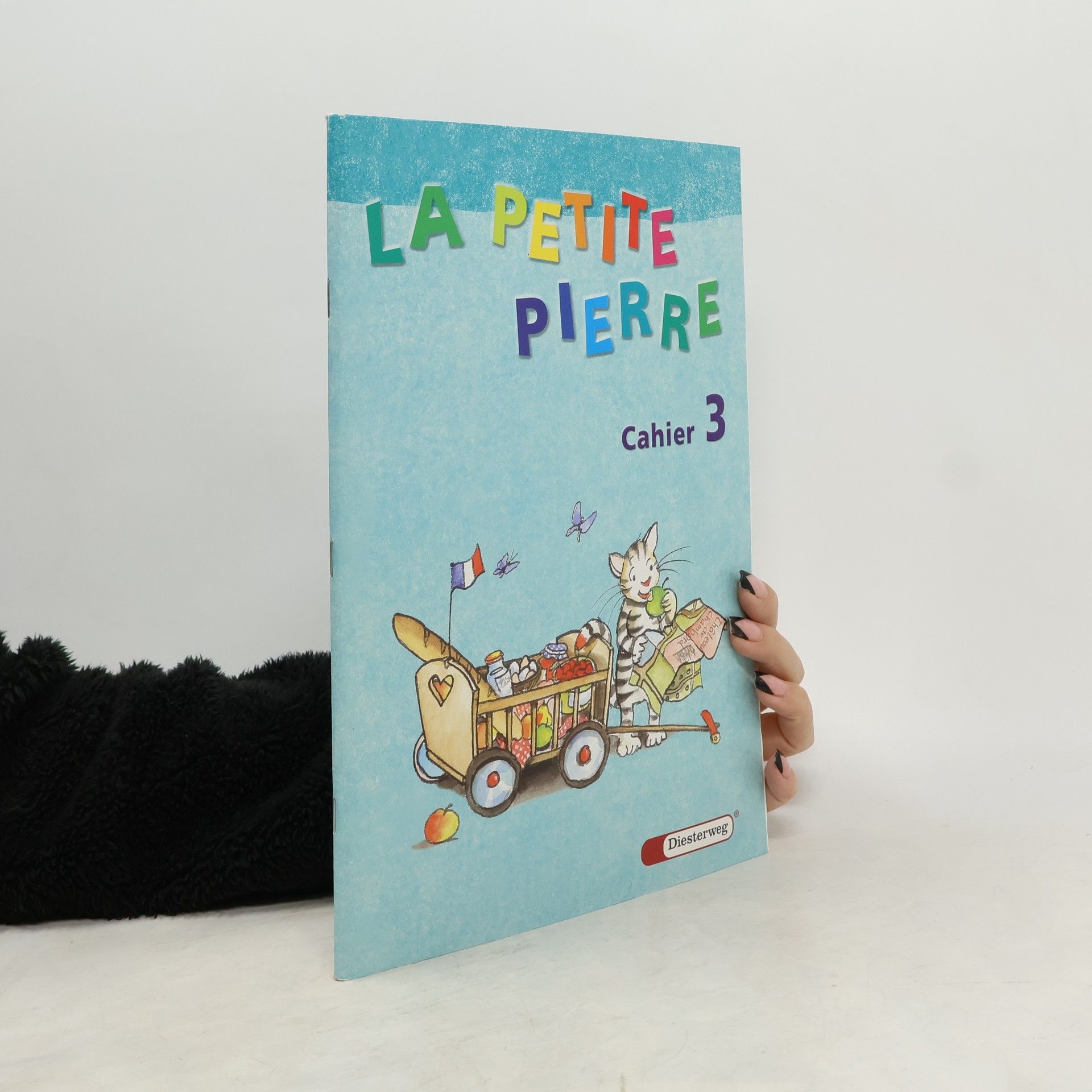 Frédérique Viala La petite Pierre