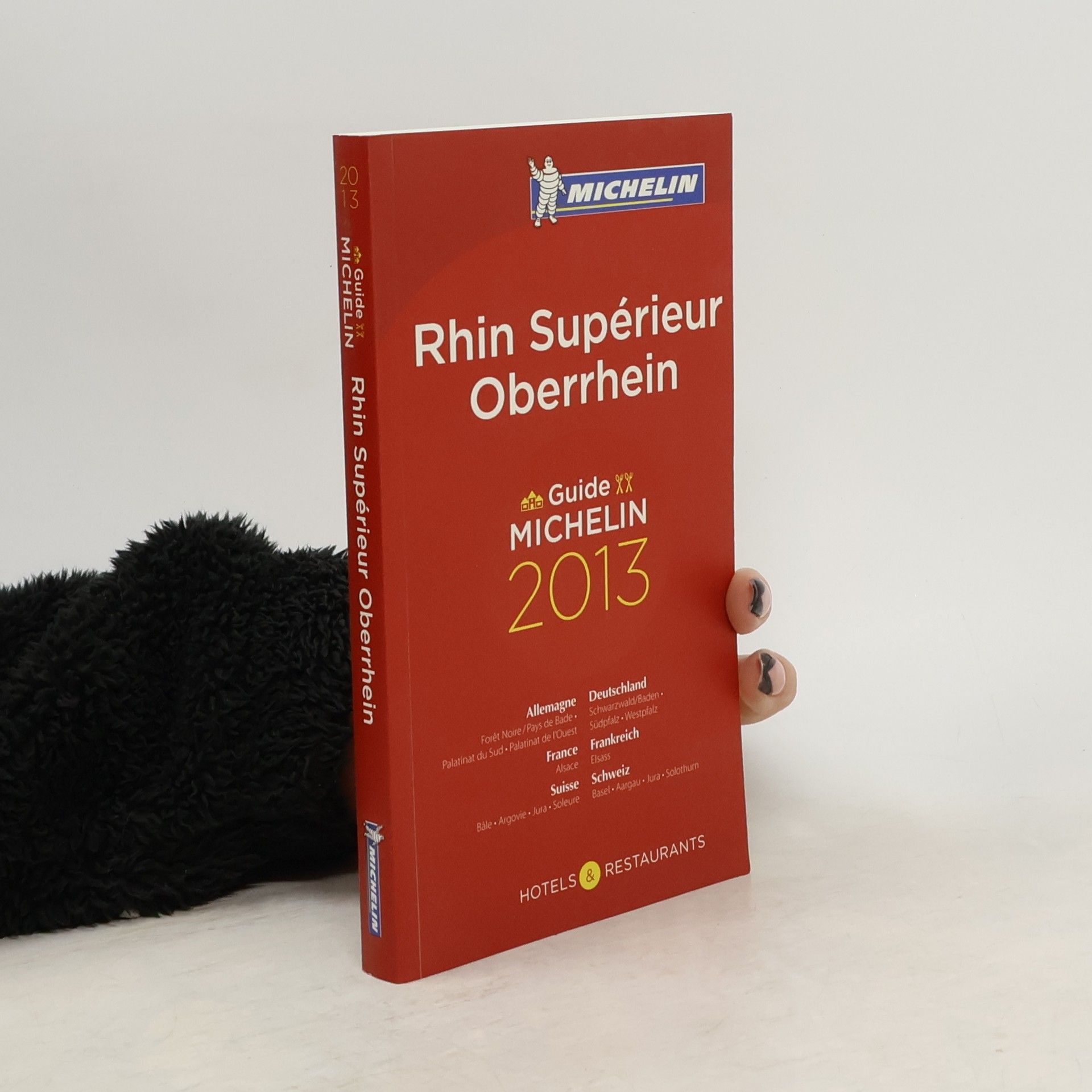 Kolektív autorov MICHELIN Hotelführer - 2013: MICHELIN Oberrhein