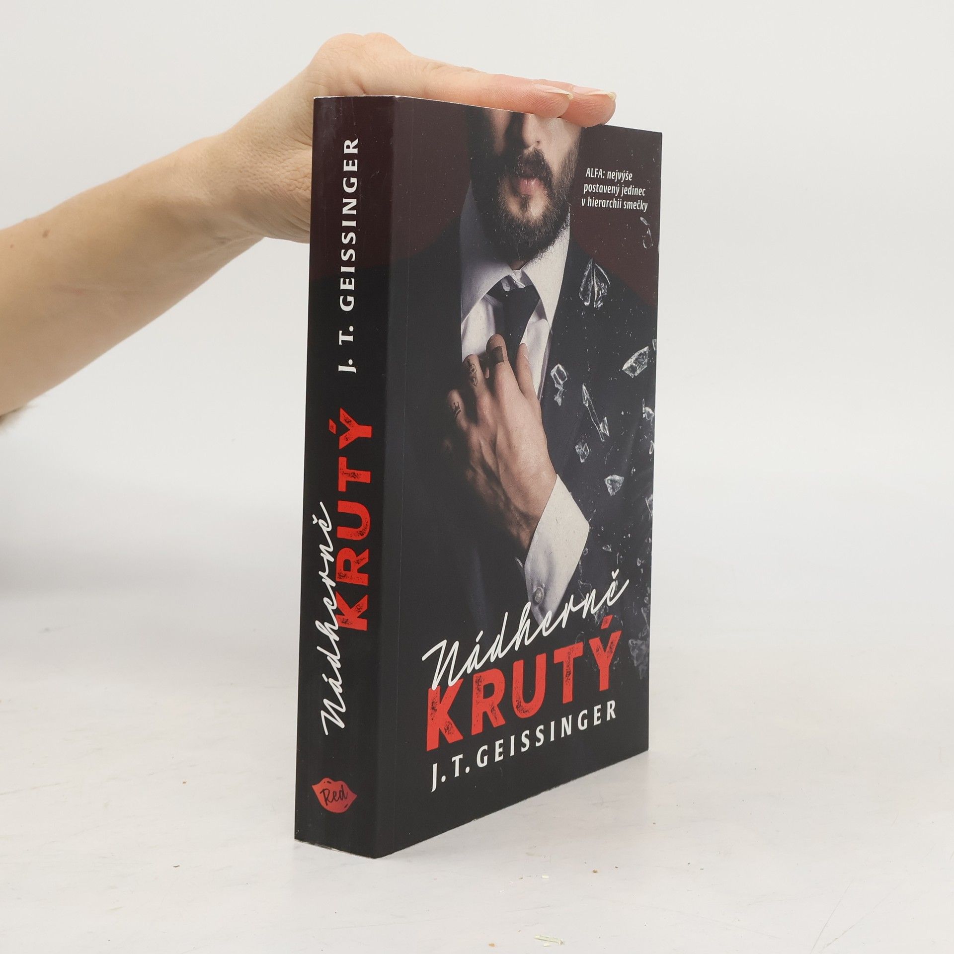 J. T. Geissinger Nádherně krutý