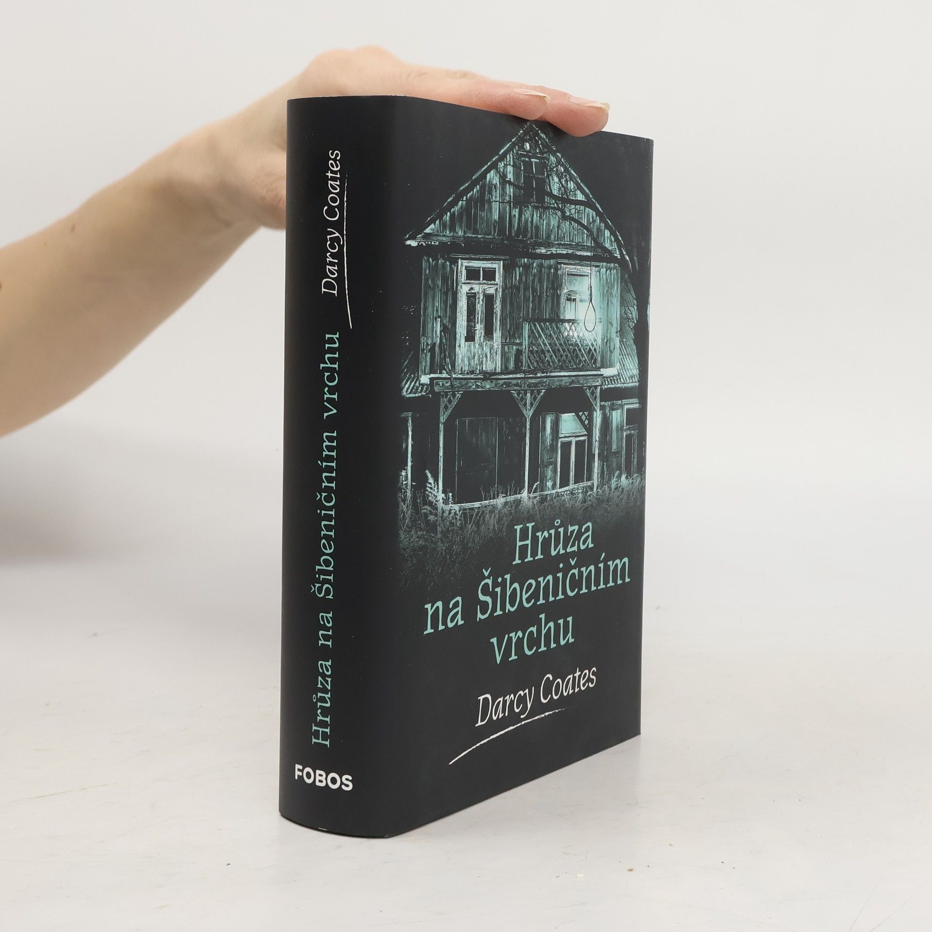 Darcy Coates Hrůza na Šibeničním vrchu
