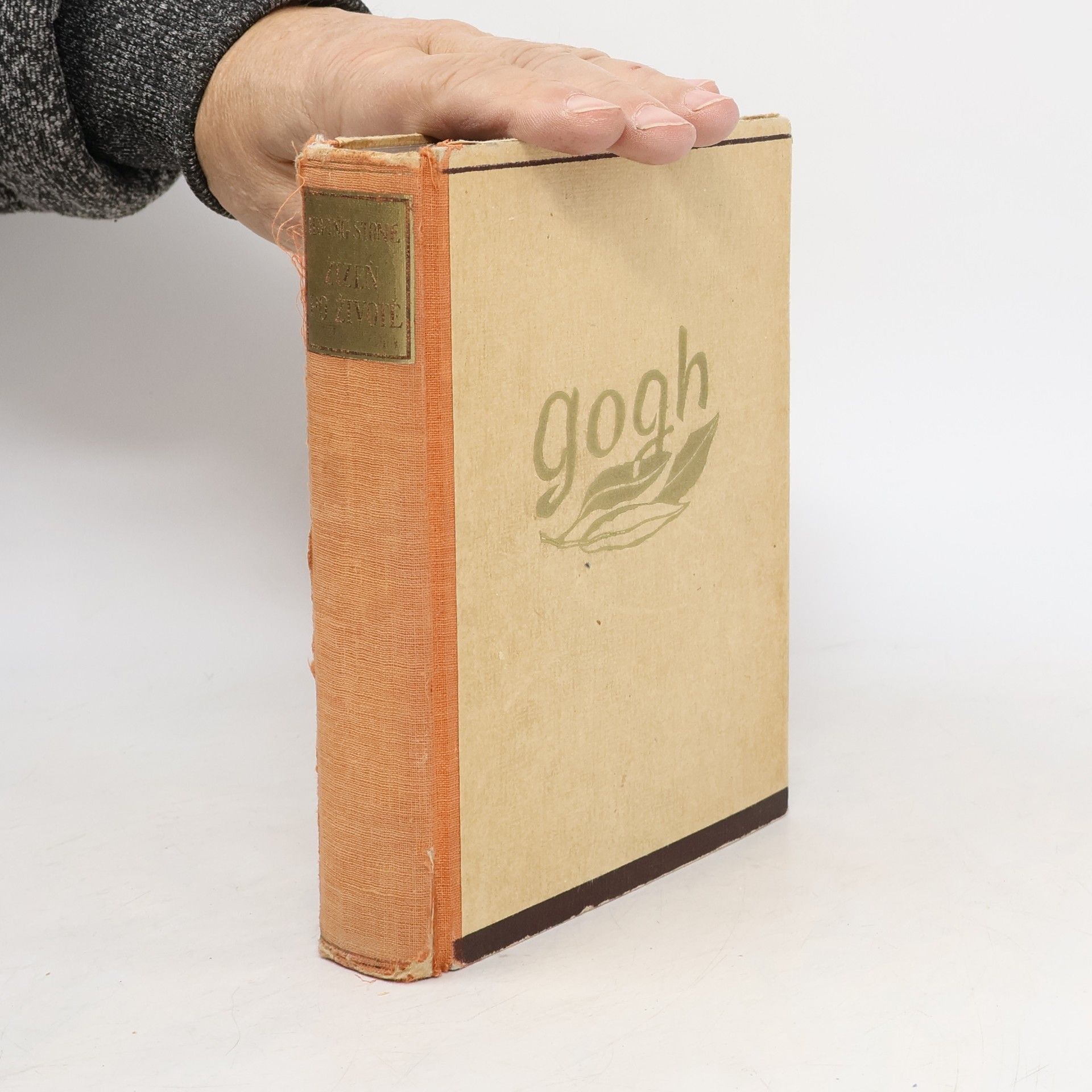 Irving Stone Žízeň po životě. Život malíře Vincenta Van Gogha