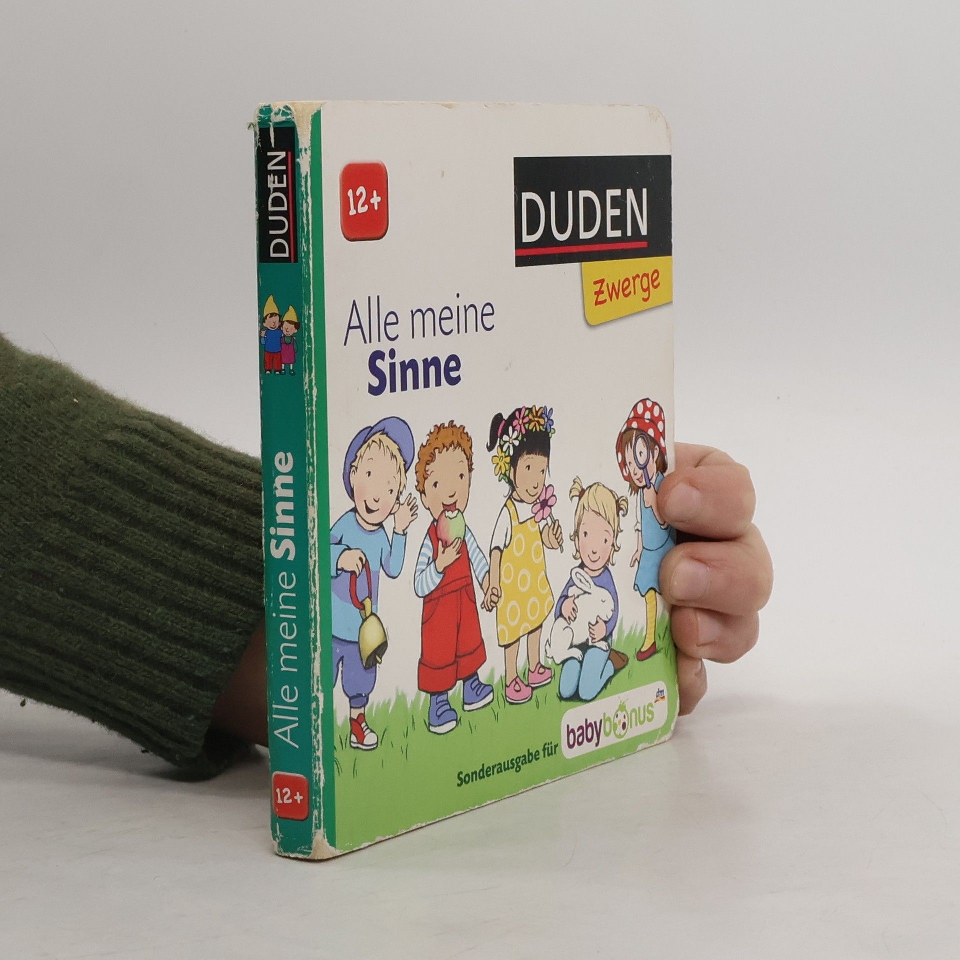 Autorenkollektiv Alle meine Sinne