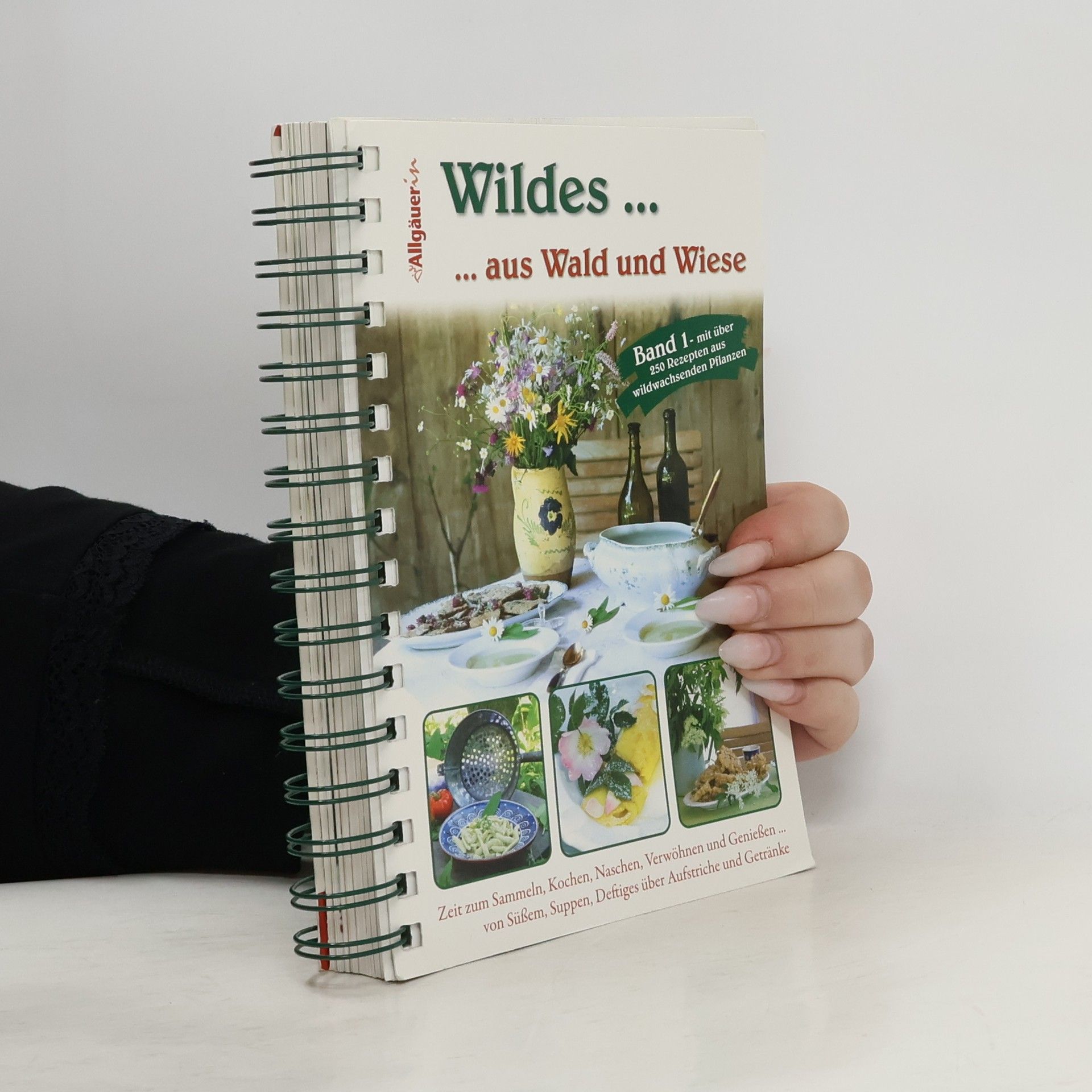 Autorenkollektiv Wildes ... aus Wald und Wiese