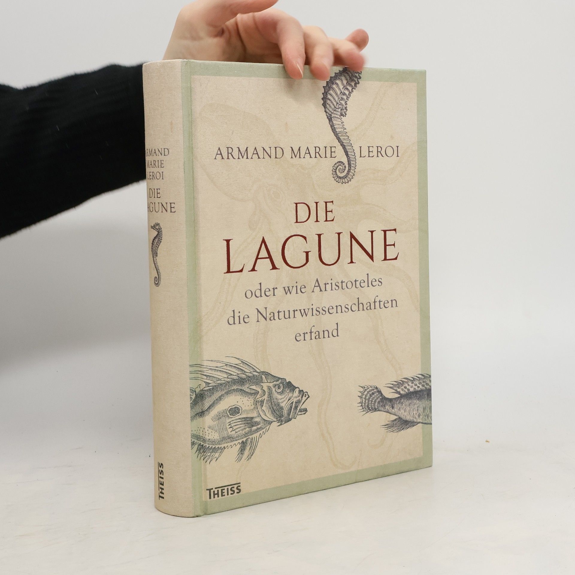 Die Lagune oder wie Aristoteles die Naturwissenschaften erfand