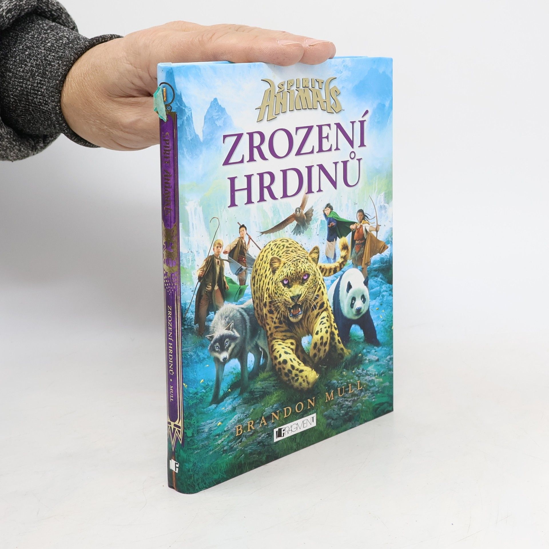 Brandon Mull Zrození hrdinů