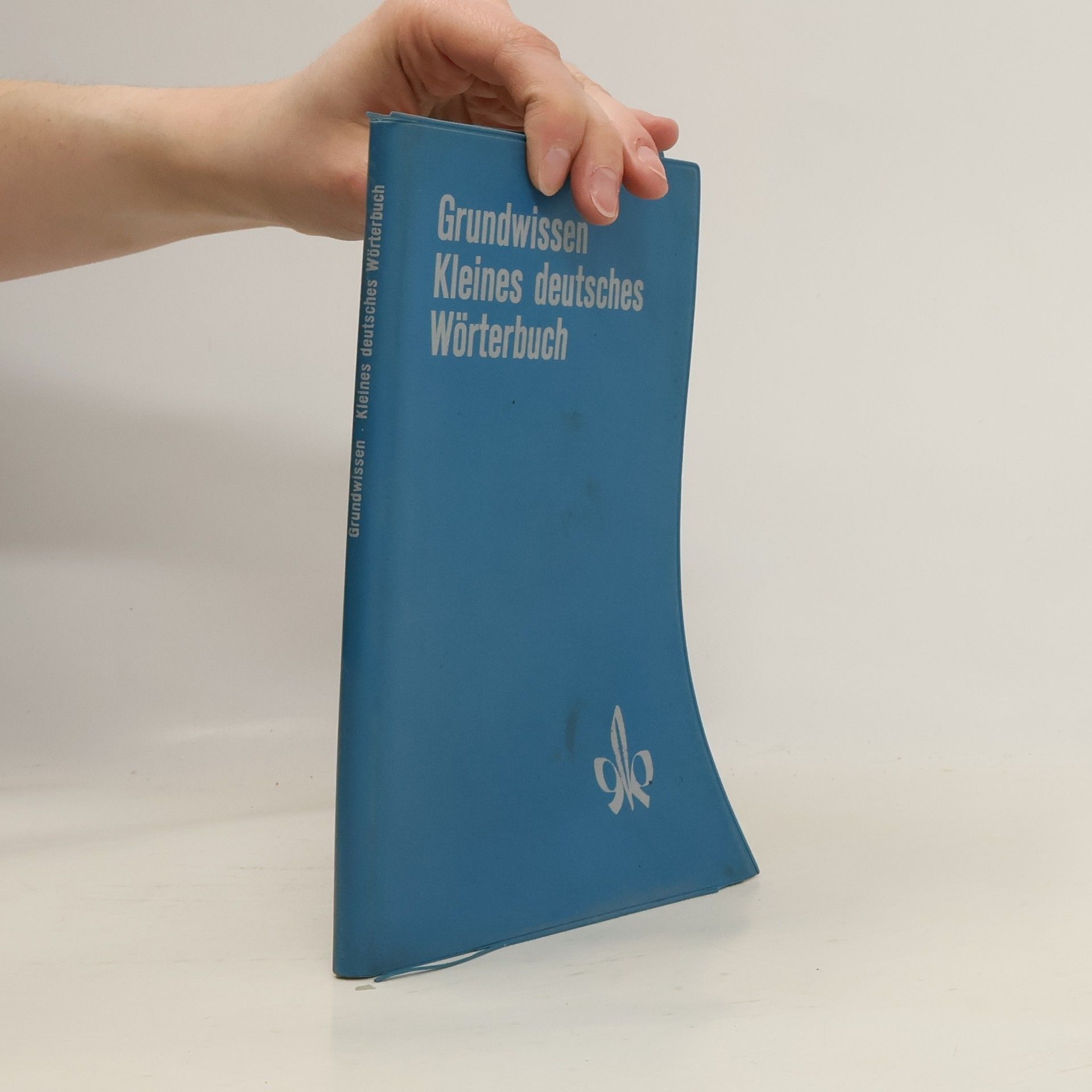 Collectif d'auteurs Grundwissen Kleines deutsches Wörterbuch