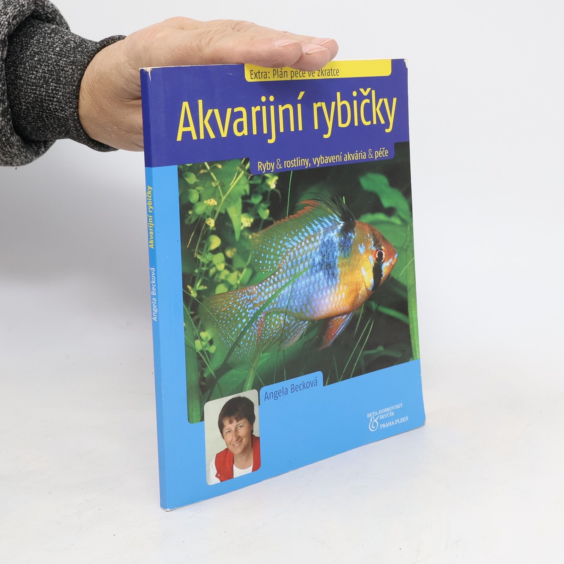 Angela Beck Akvarijní rybičky. Ryby & rostliny, vybavení akvária & péče