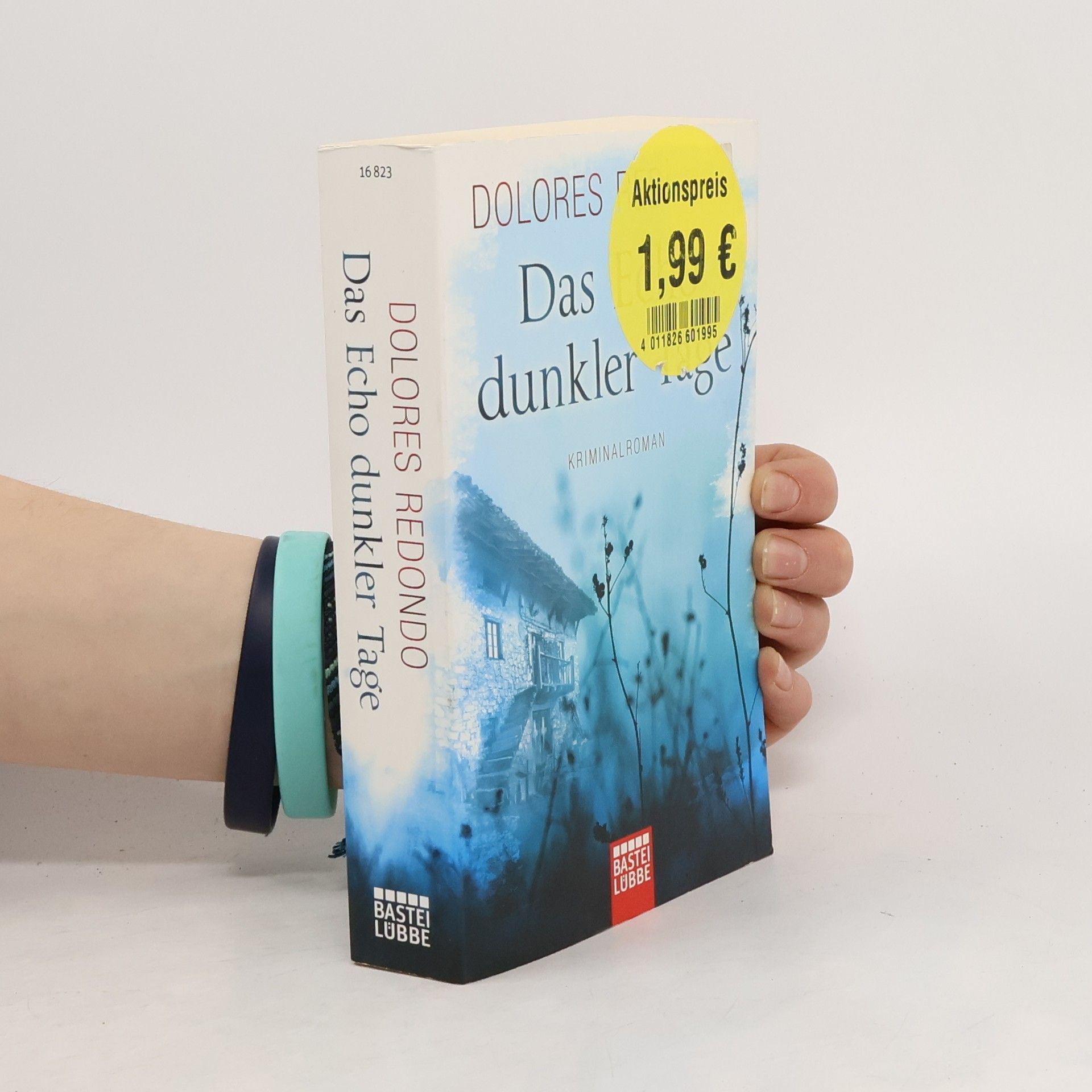 Dolores Redondo Das Echo dunkler Tage