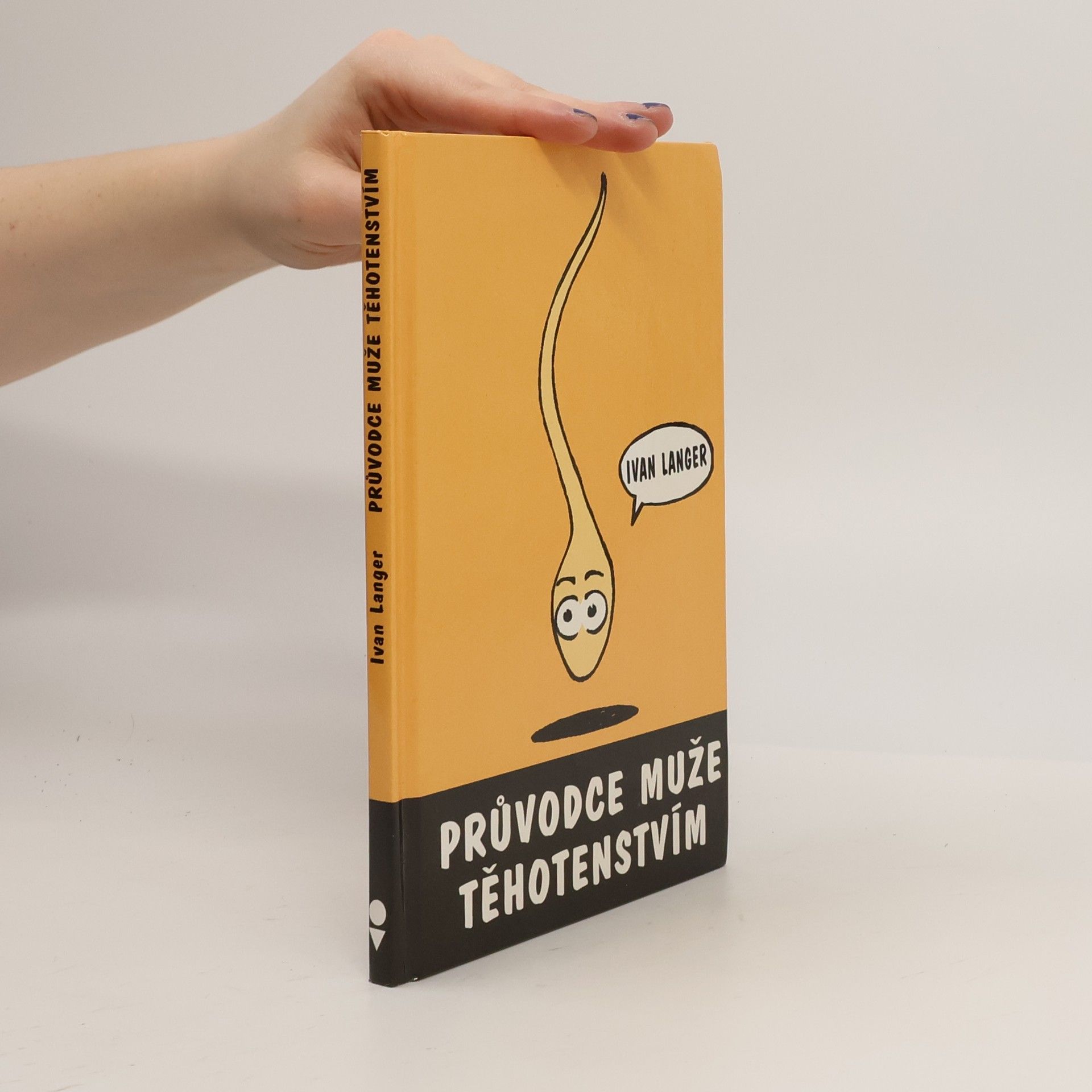 Průvodce muže těhotenstvím