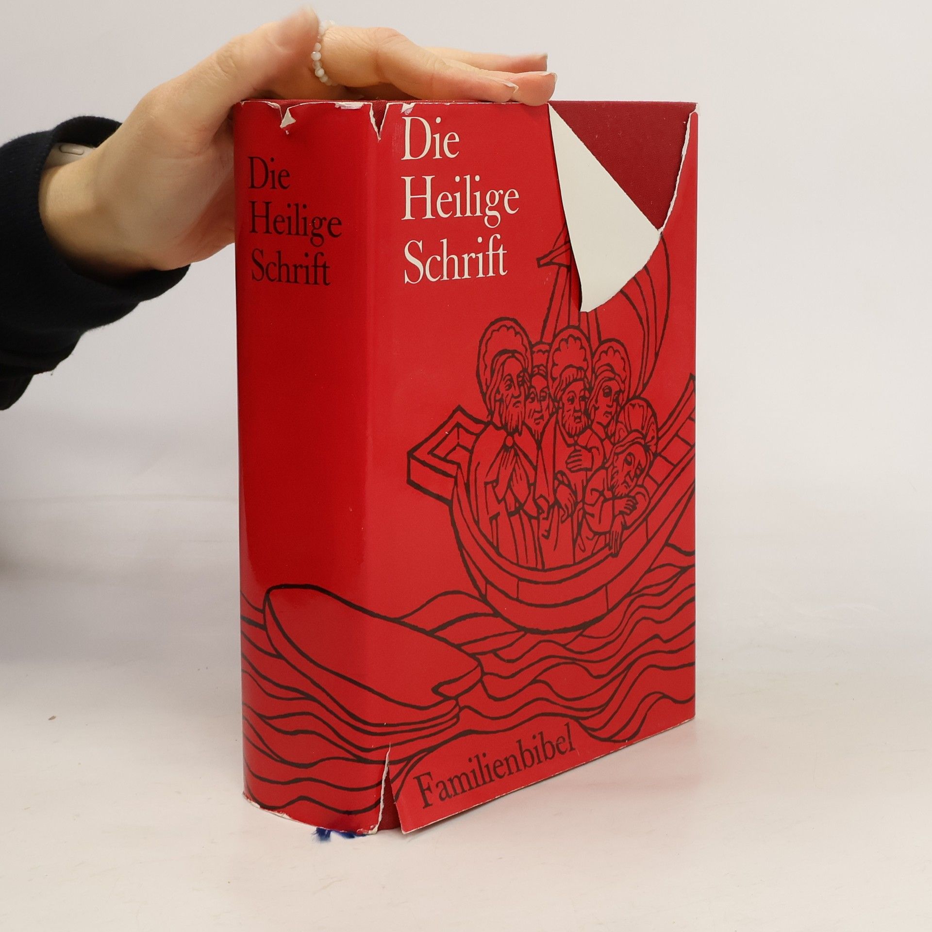 Autorenkollektiv Die Heilige Schrift. Familienbibel