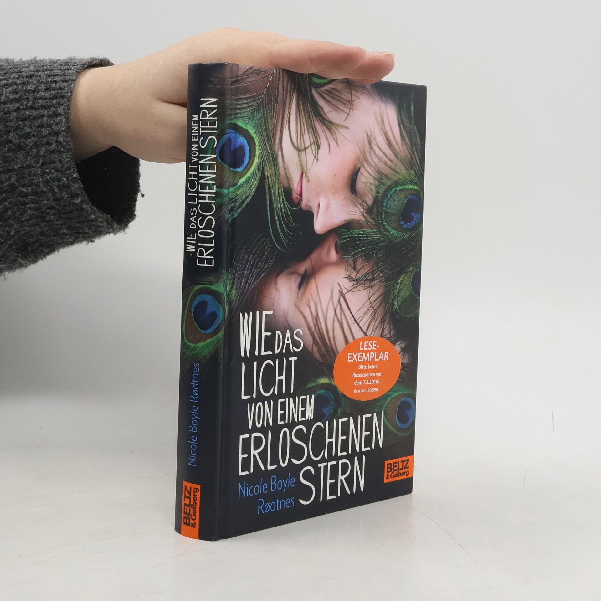 Nicole Boyle Rodtnes Wie das Licht von einem erloschenen Stern