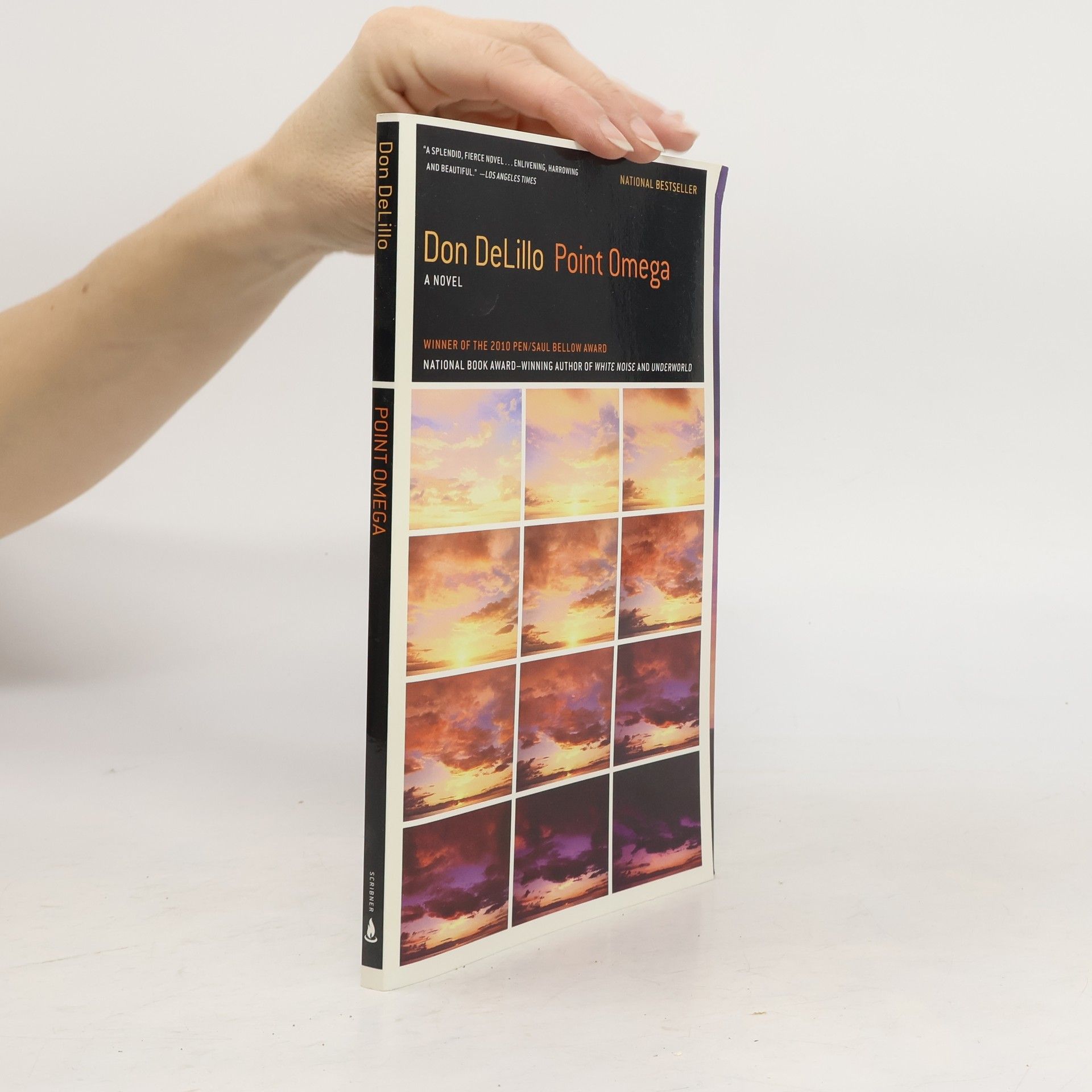 Don DeLillo Point Omega