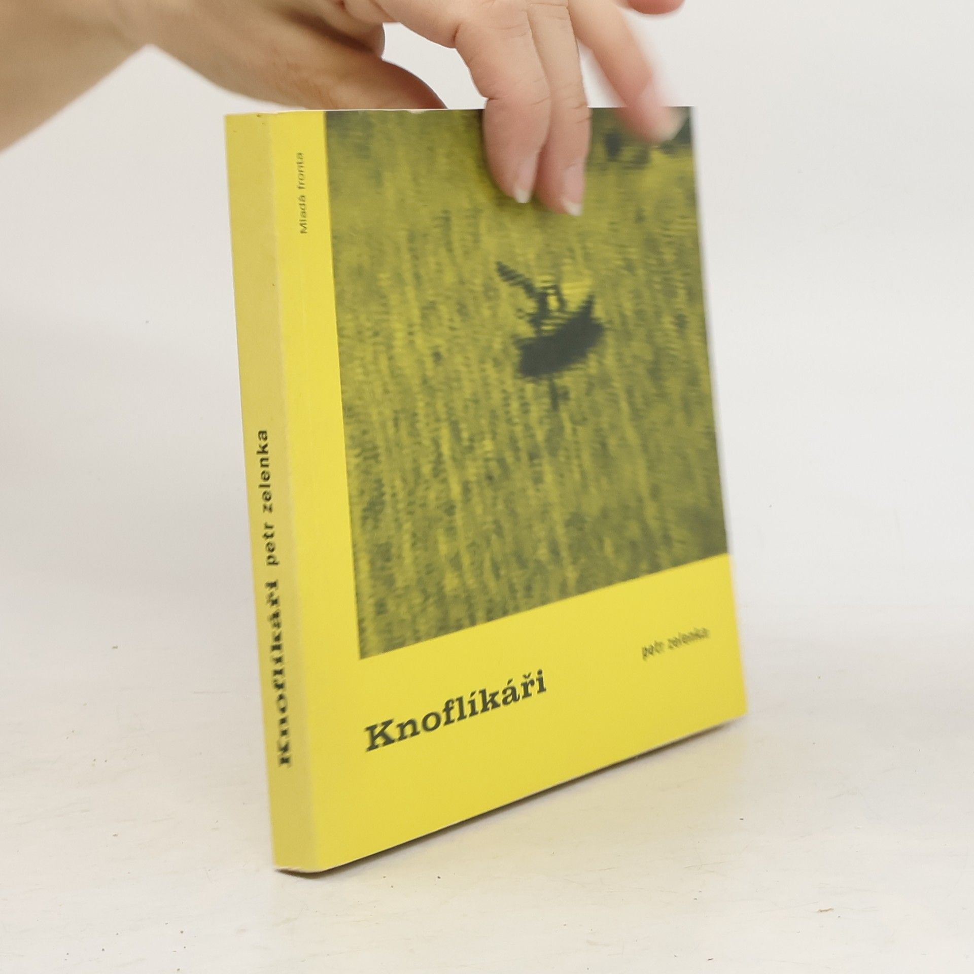 Petr Zelenka Knoflíkáři