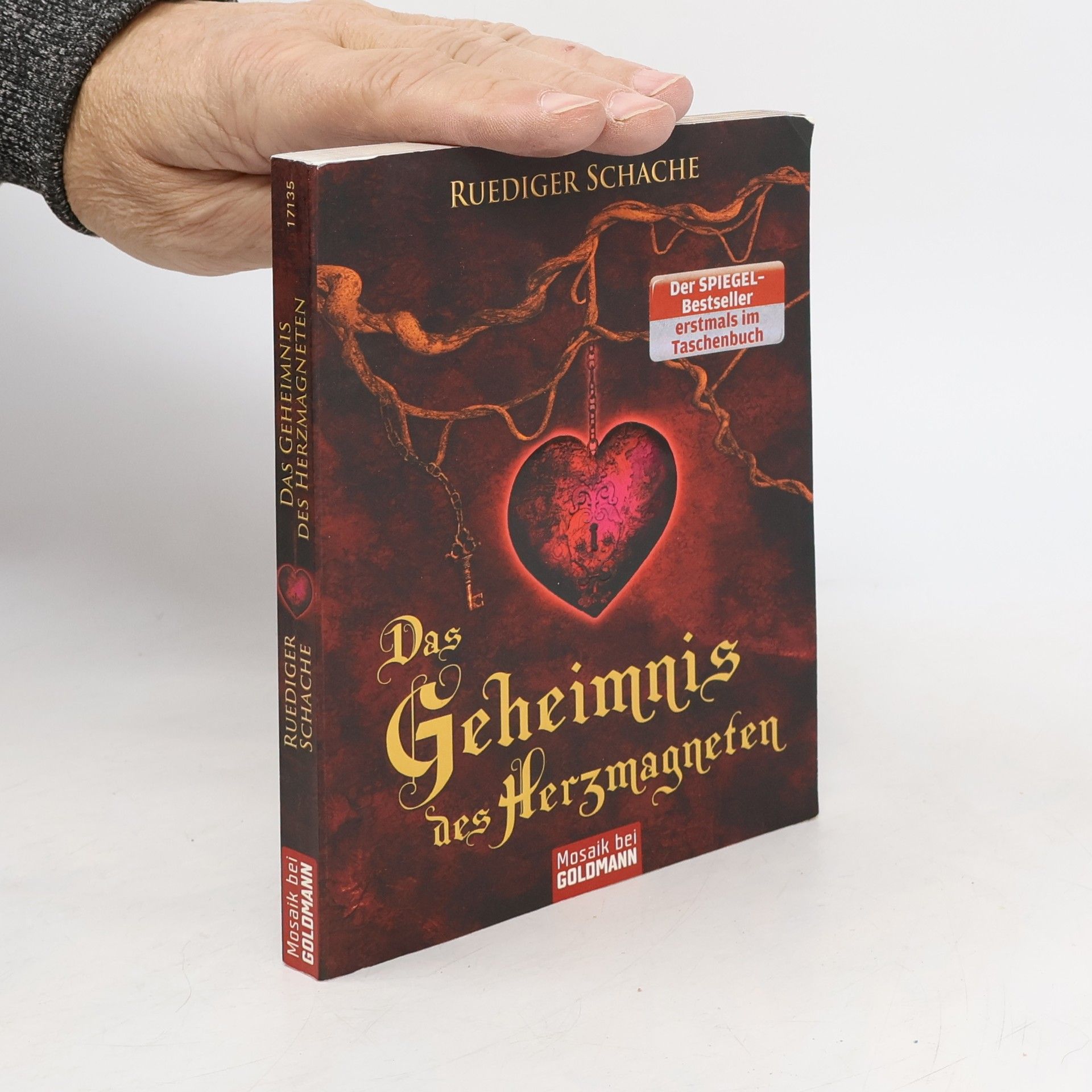Ruediger Schache Das Geheimnis des Herzmagneten