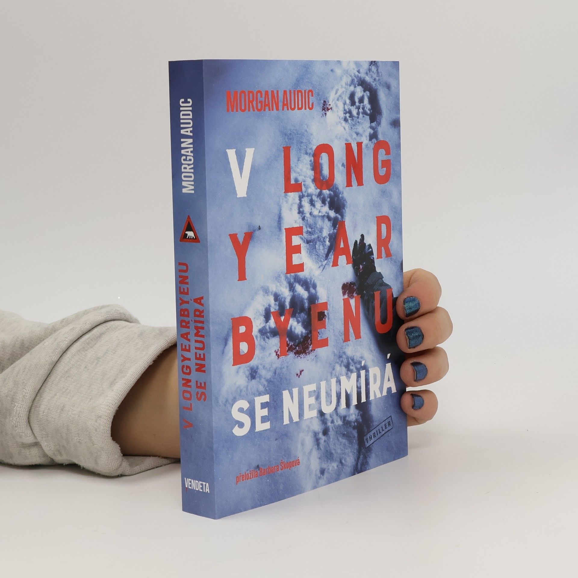 V Longyearbyenu se neumírá