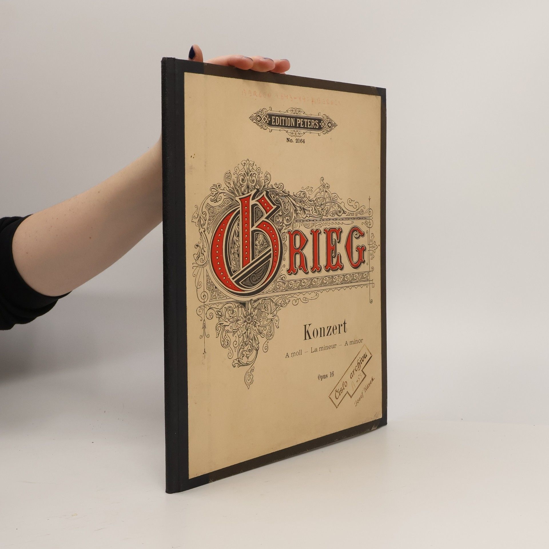 Edvard Grieg Grieg Konzert