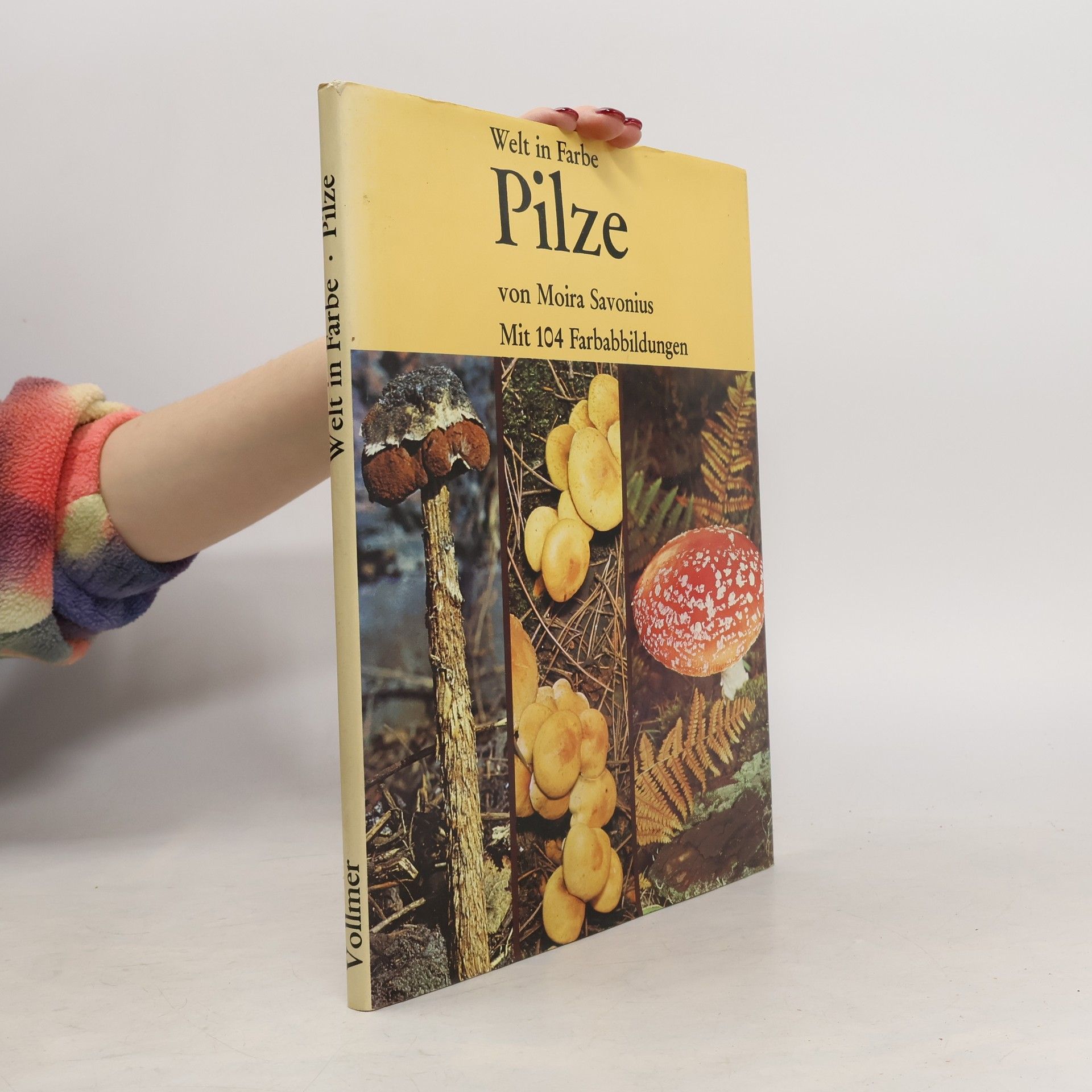 Welt in Farbe. Pilze