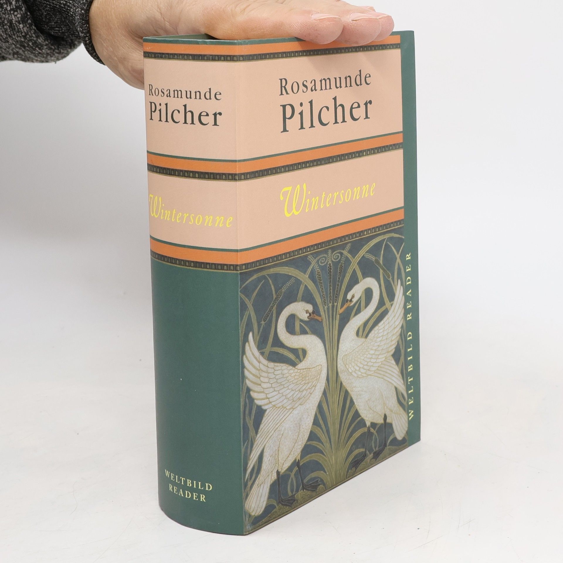 Rosamunde Pilcher Wintersonne