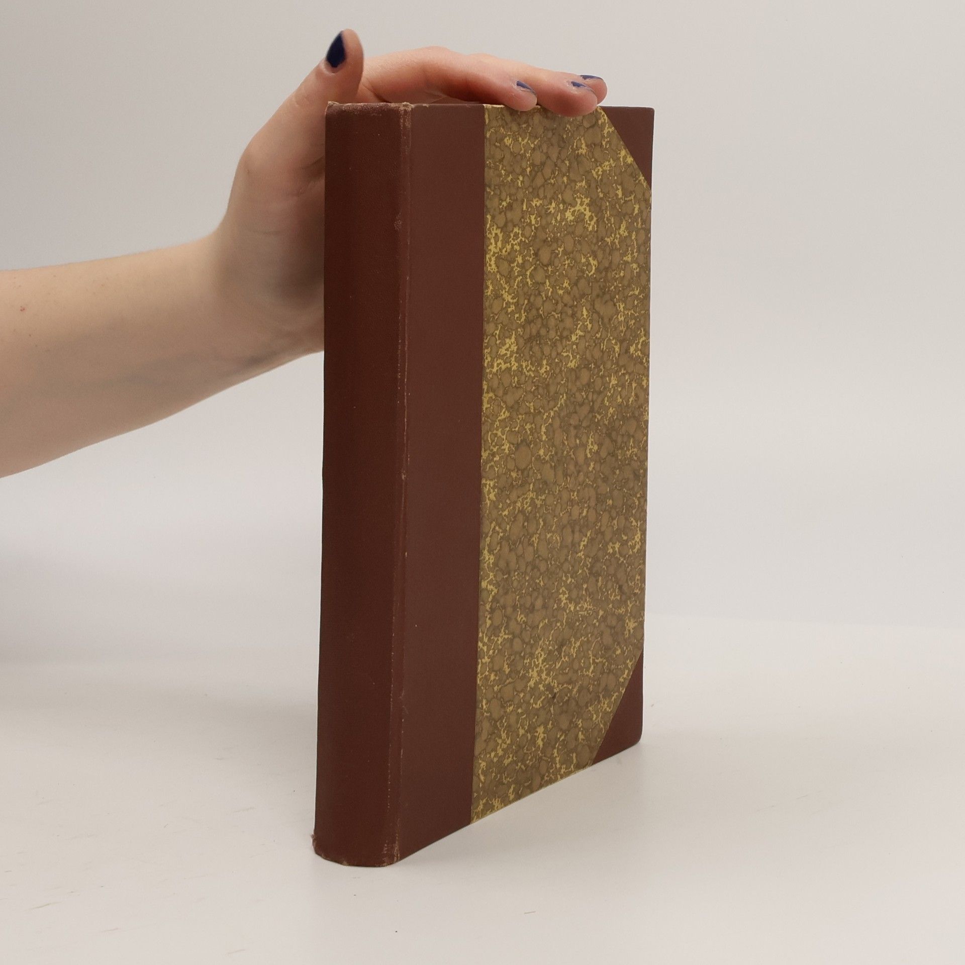 Robert Niedergesäß Geschichte der Pädagogik