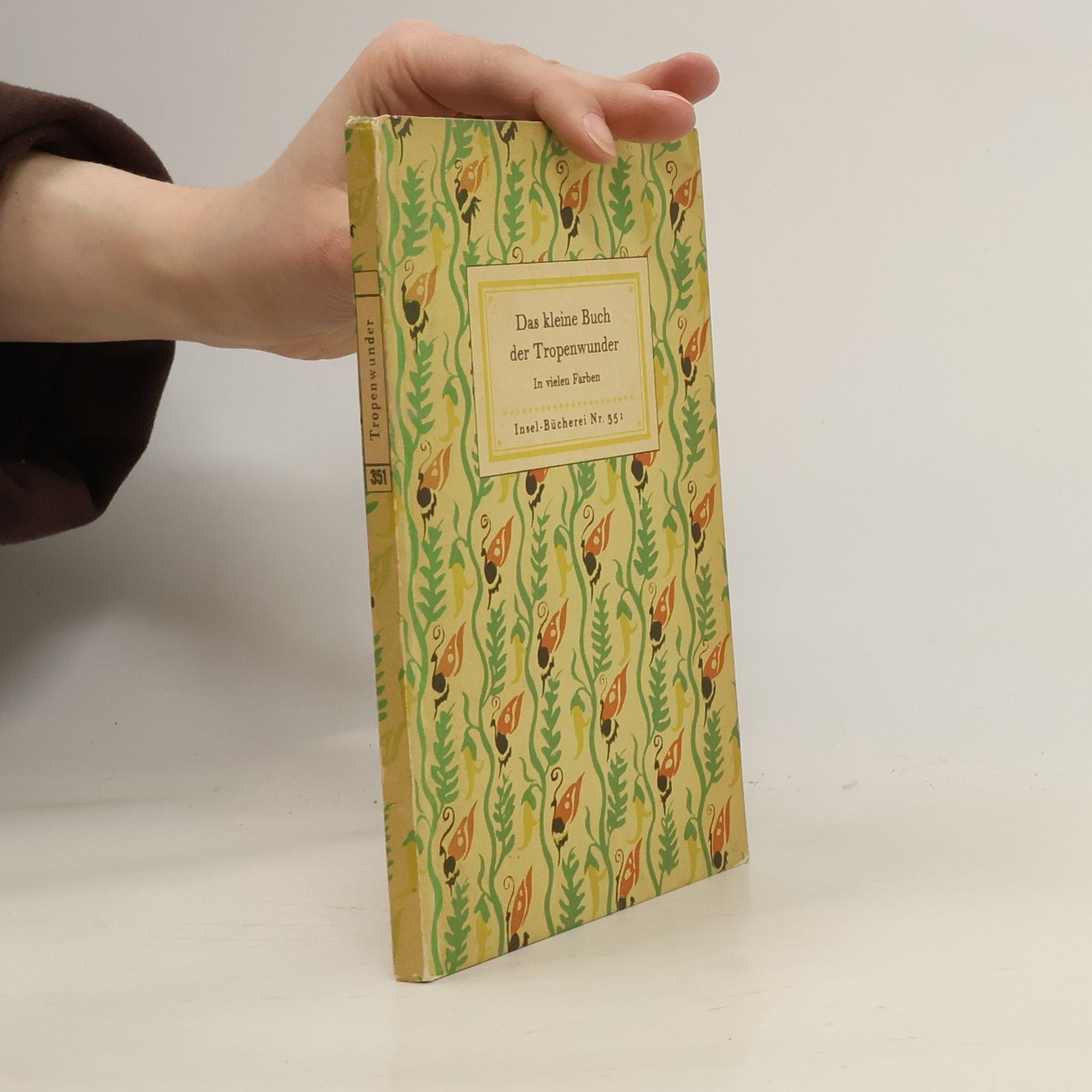 Maria Sibylla Merian Das kleine Buch der Tropenwunder