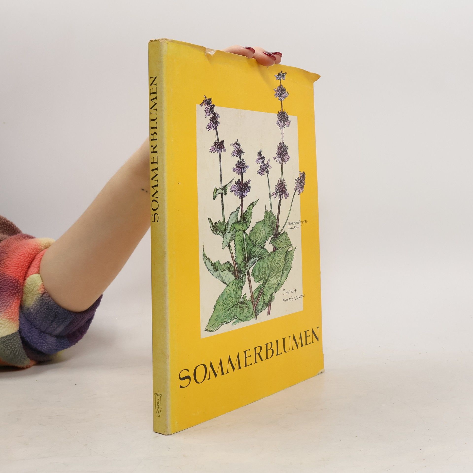 Sommerblumen