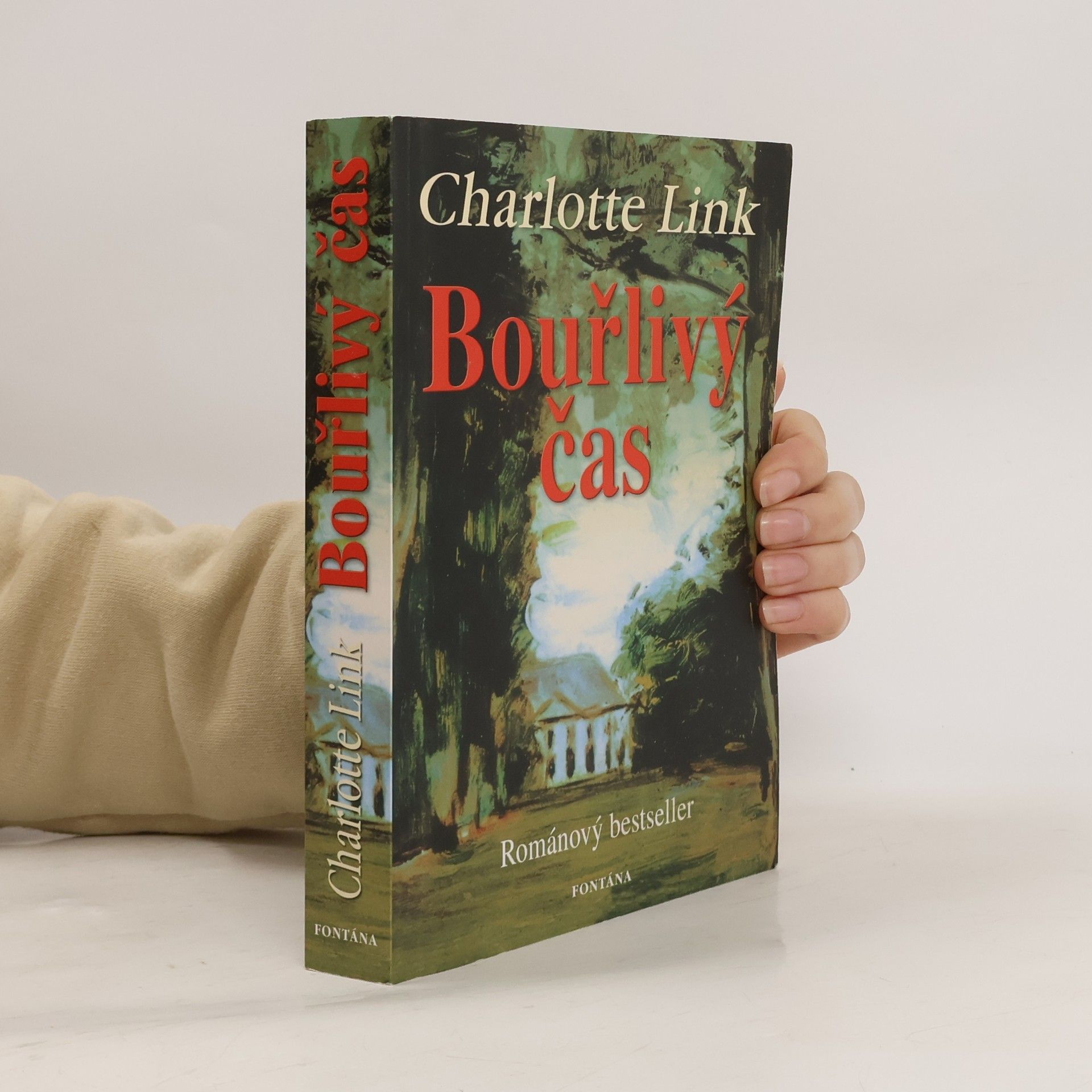 Charlotte Link Bouřlivý čas