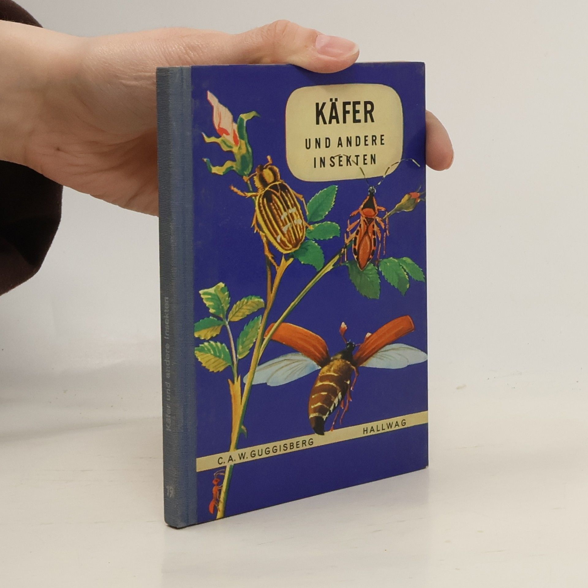 Käfer und Andere Insekten