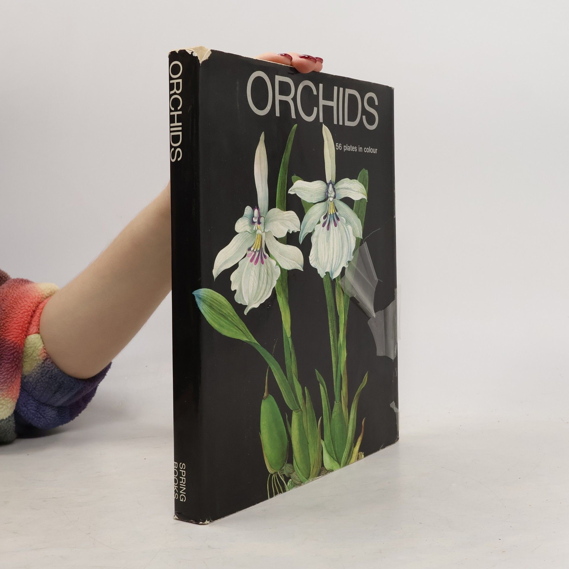 Auteurscollectief Orchids