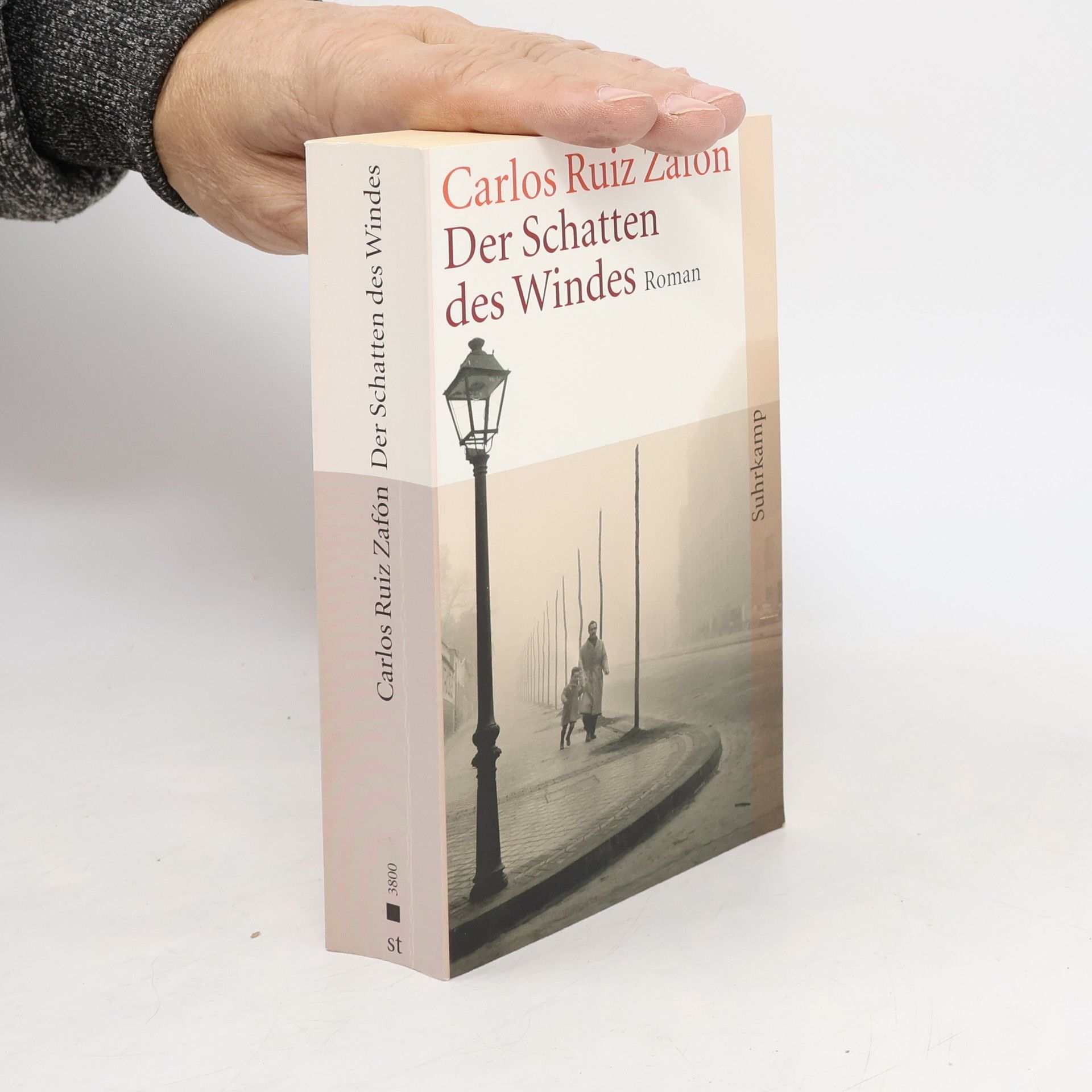 Carlos Ruiz Zafón Der Schatten des Windes